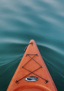 brown boat on green water