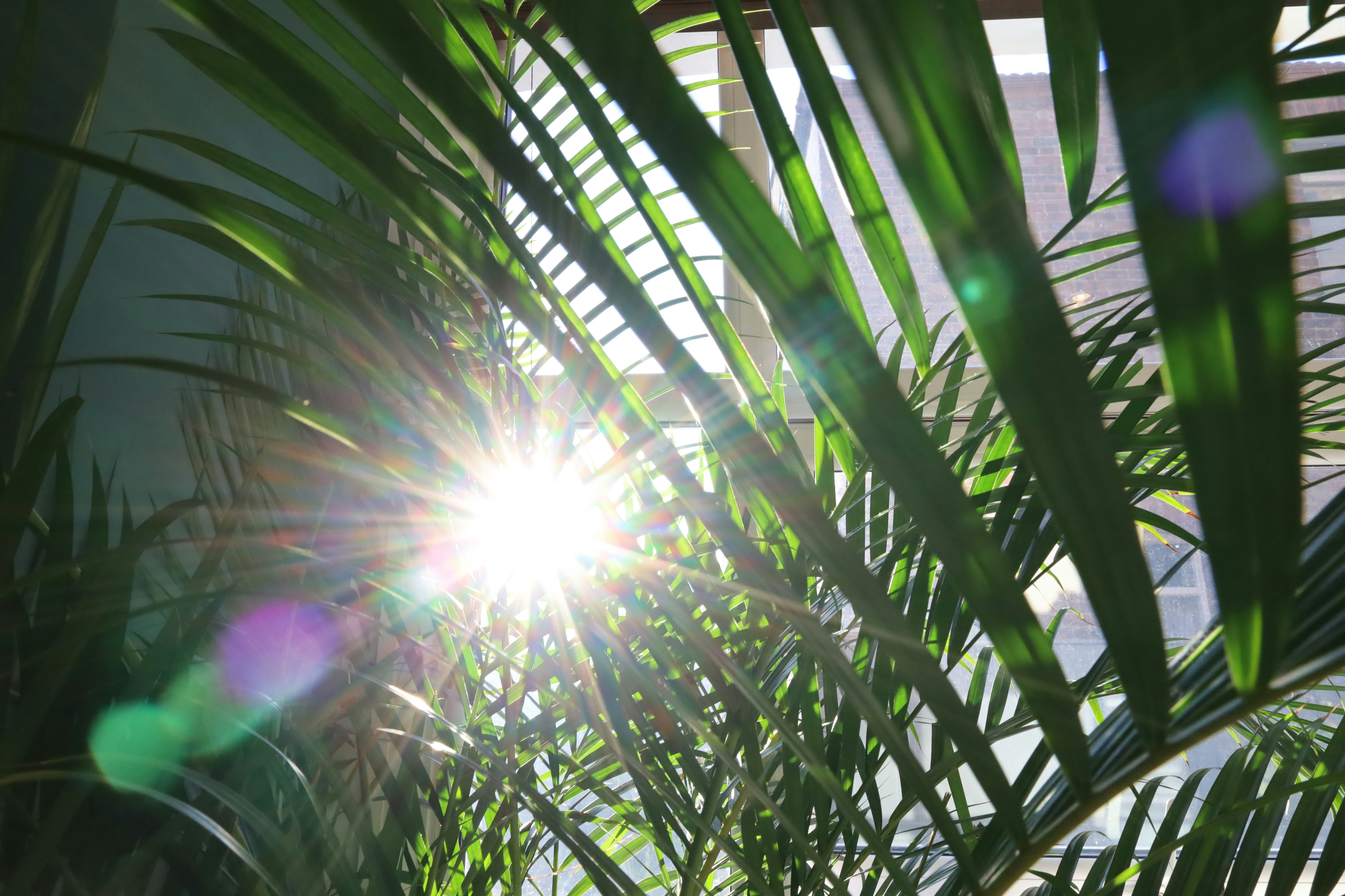 Photo by jaketownsend