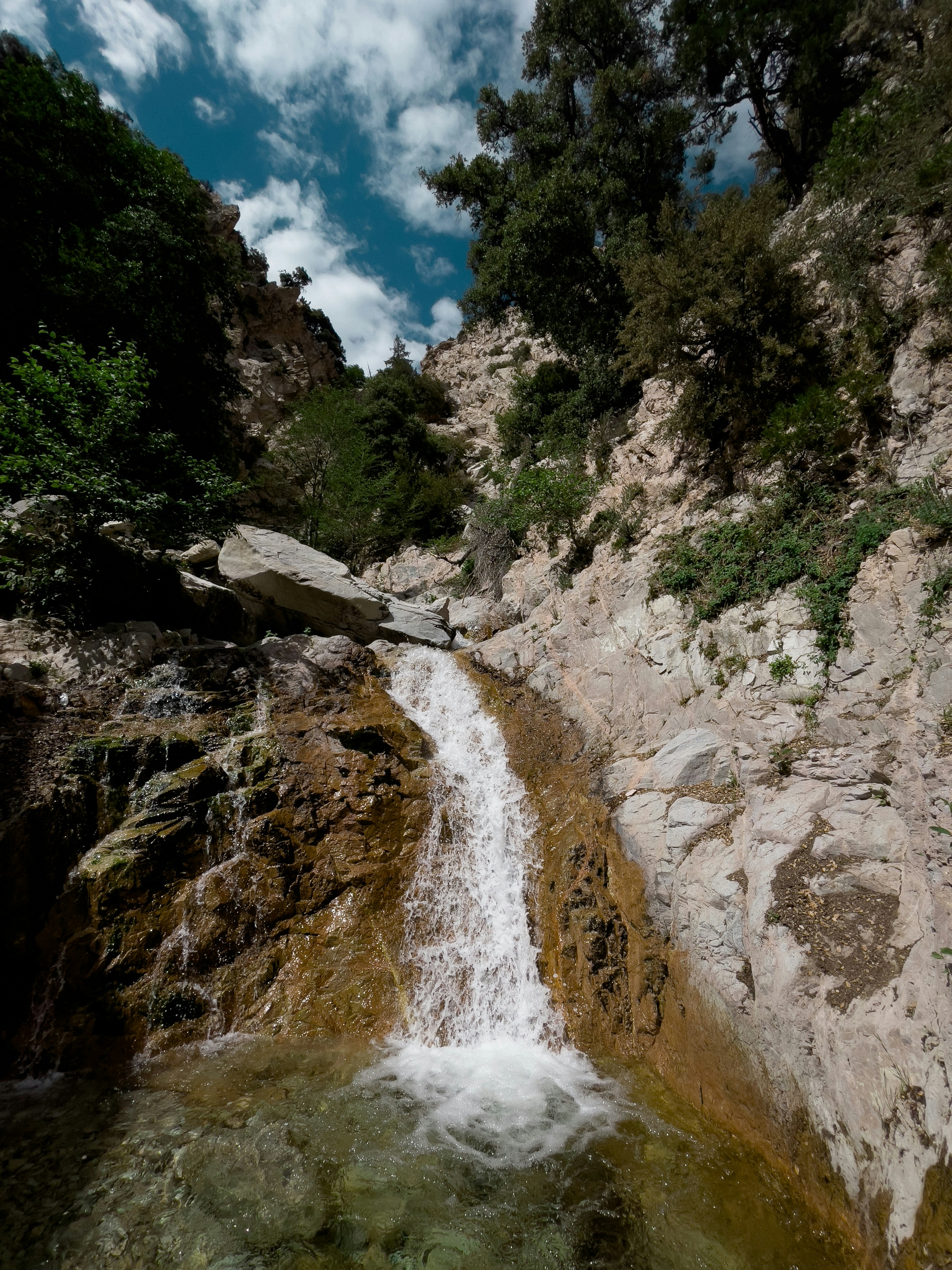 Photo by idontknowicee