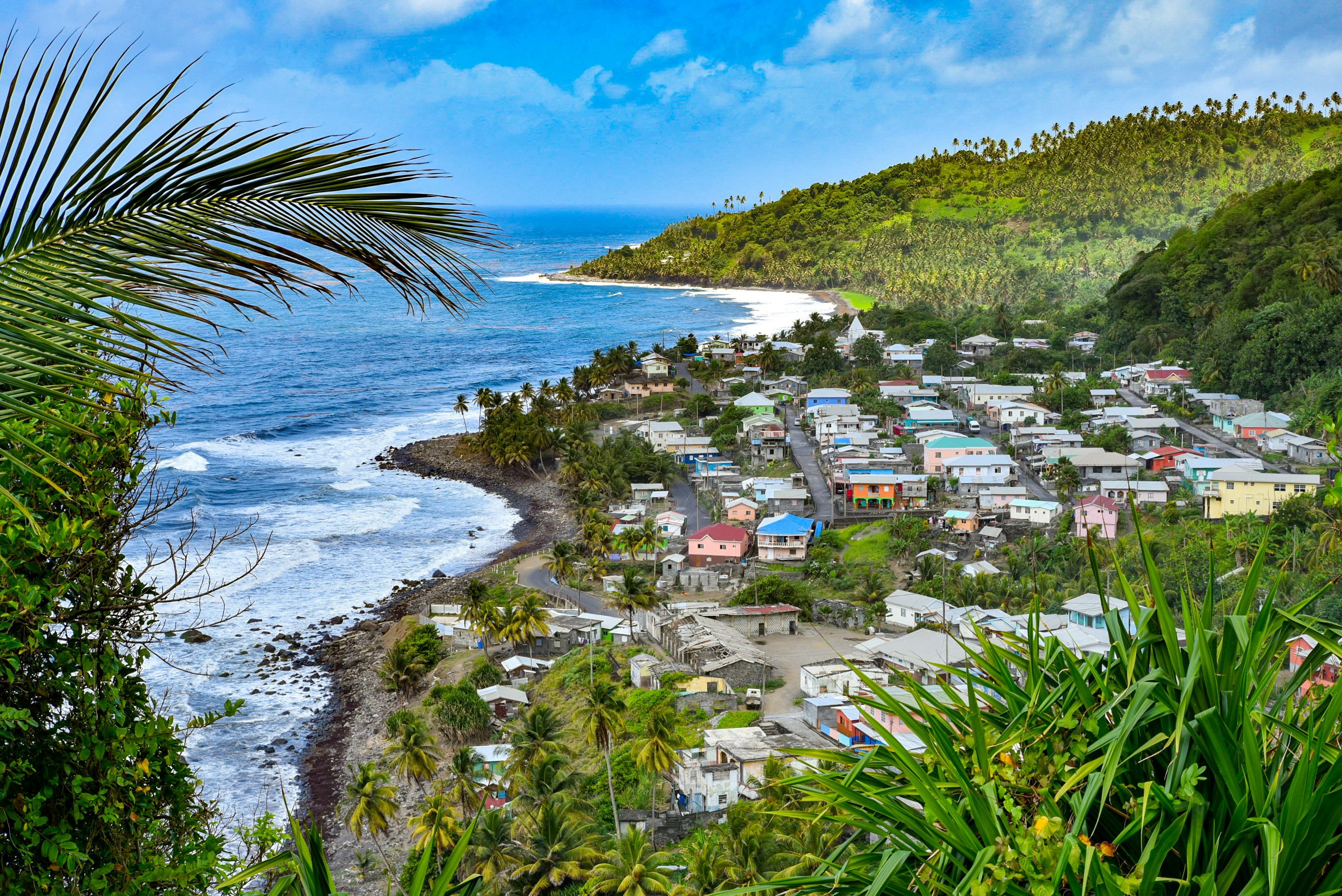 aerial view of houses near beach during daytime