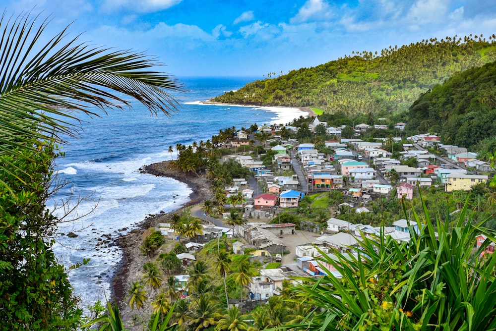 aerial view of houses near beach during daytime