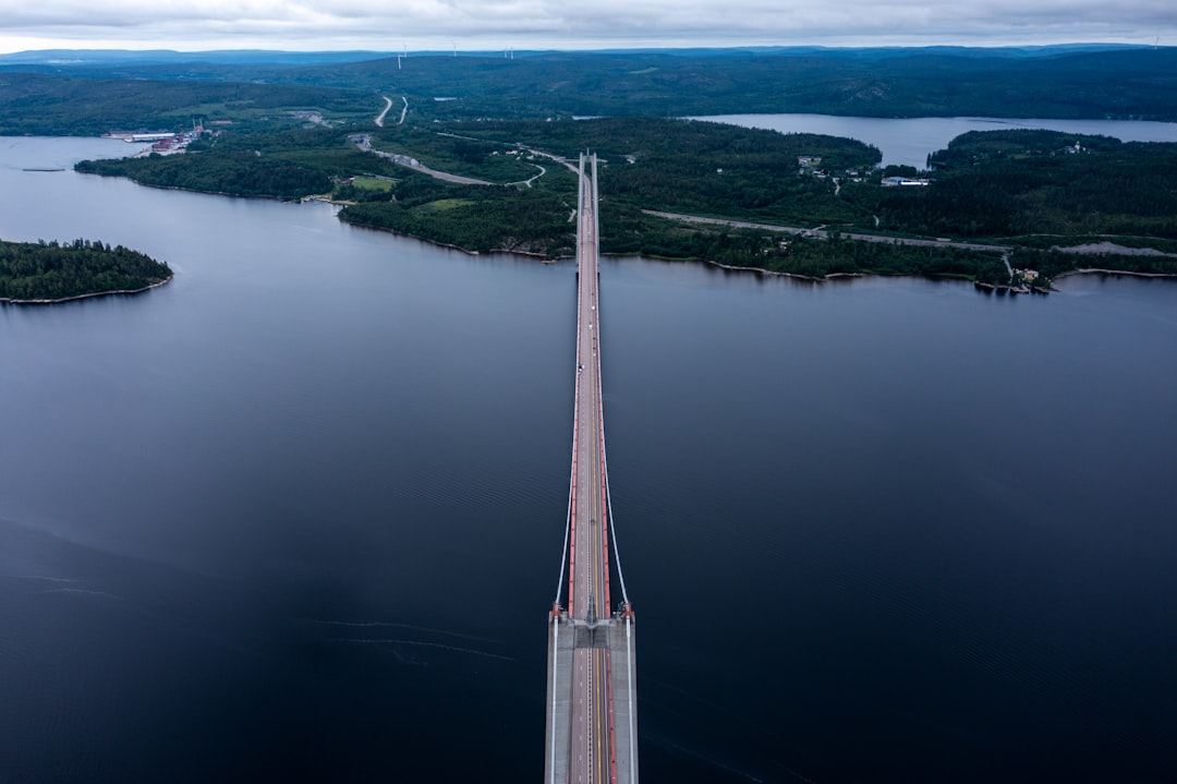 aerial view of a bridge over a river