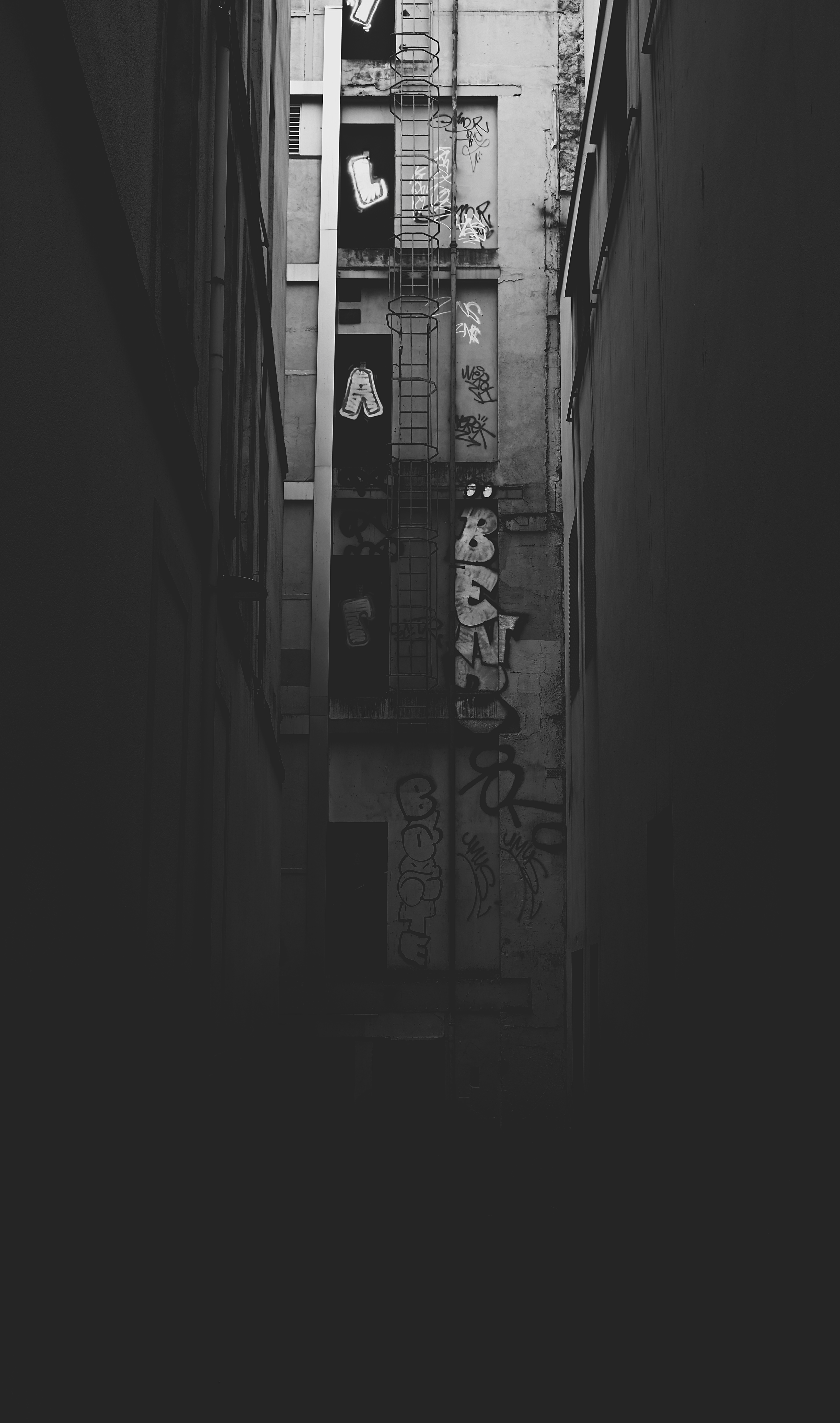 Photo by dankaspar13