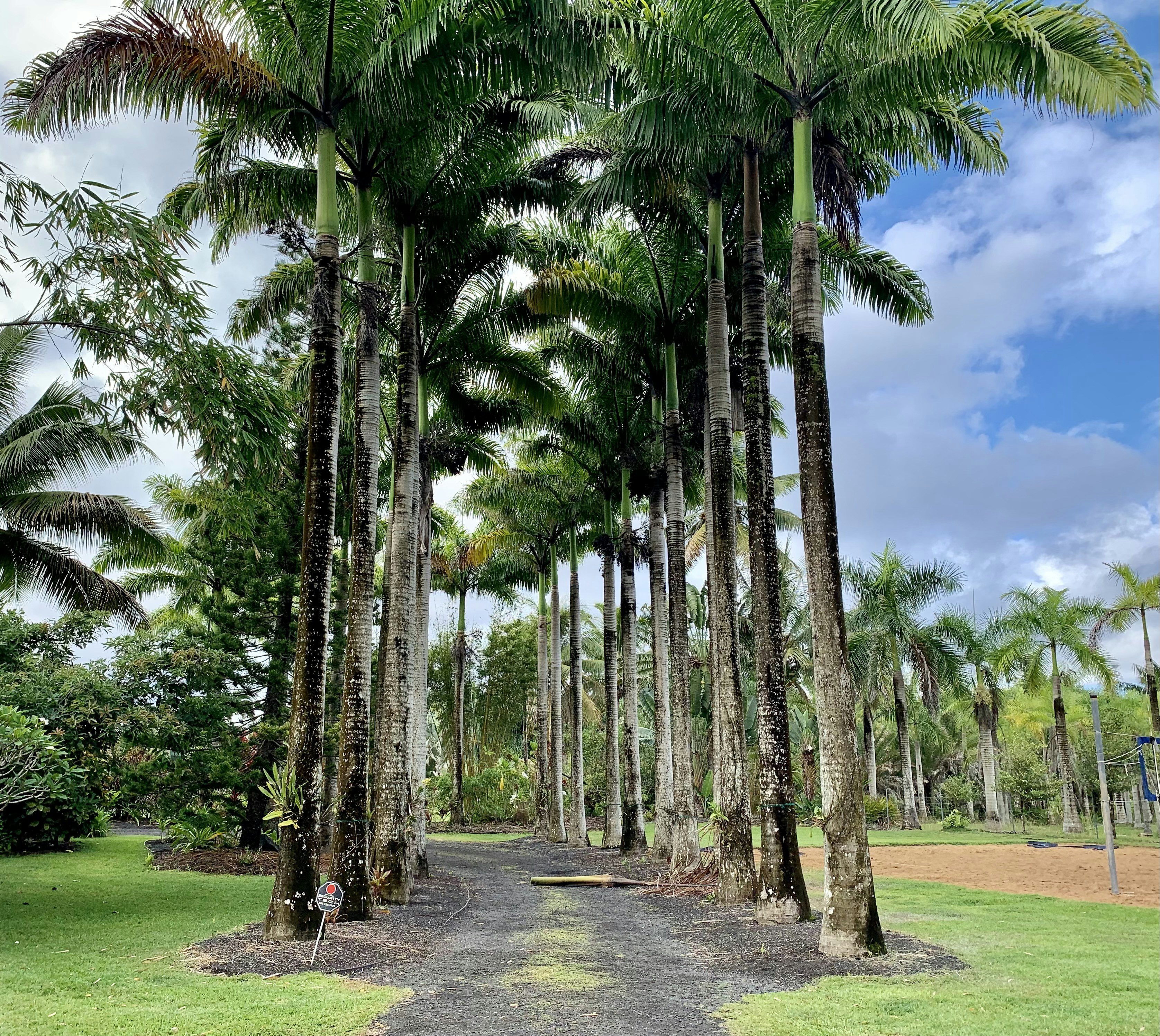 Photo by kalepapoint