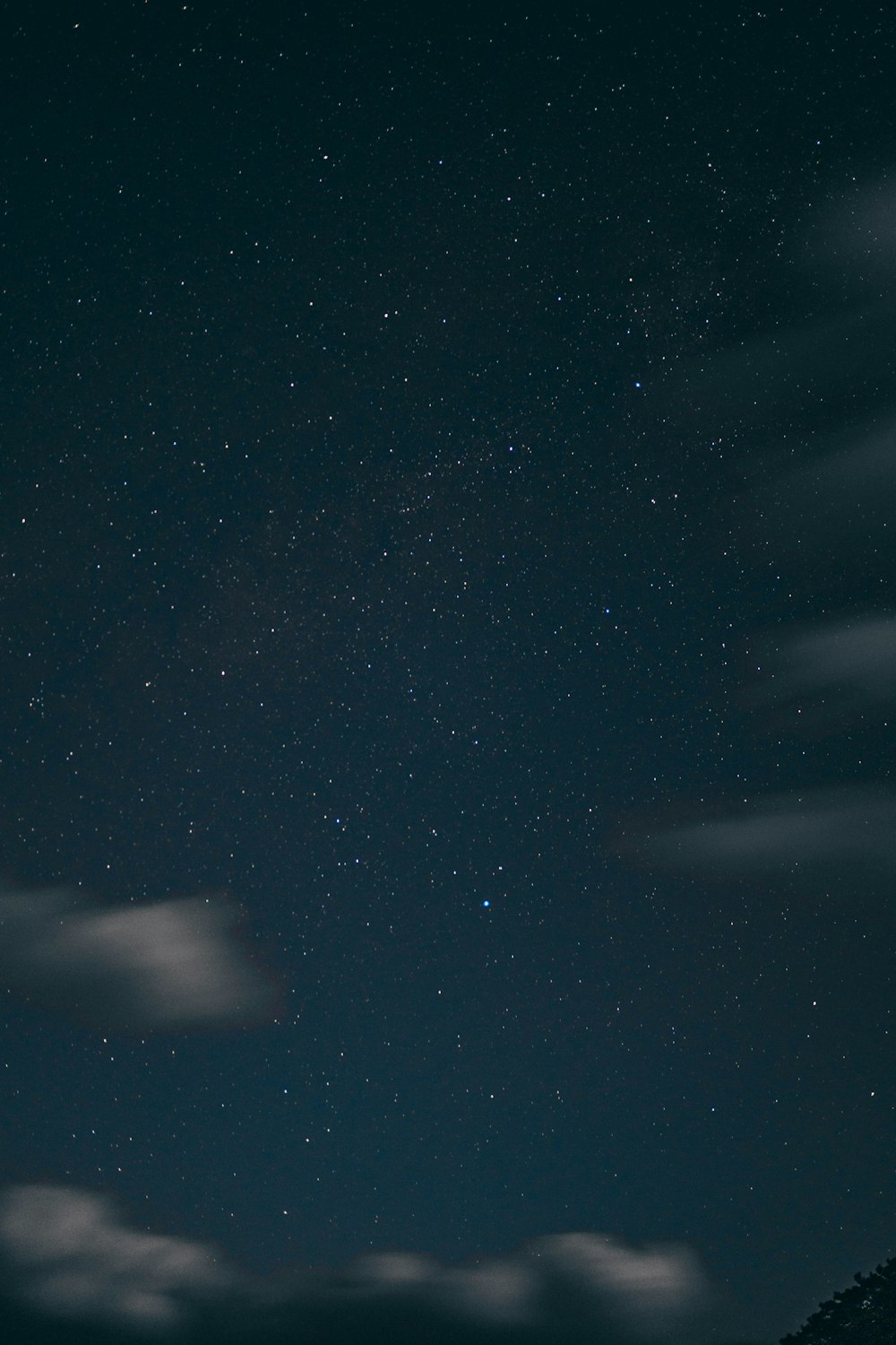 starry night sky over the starry night