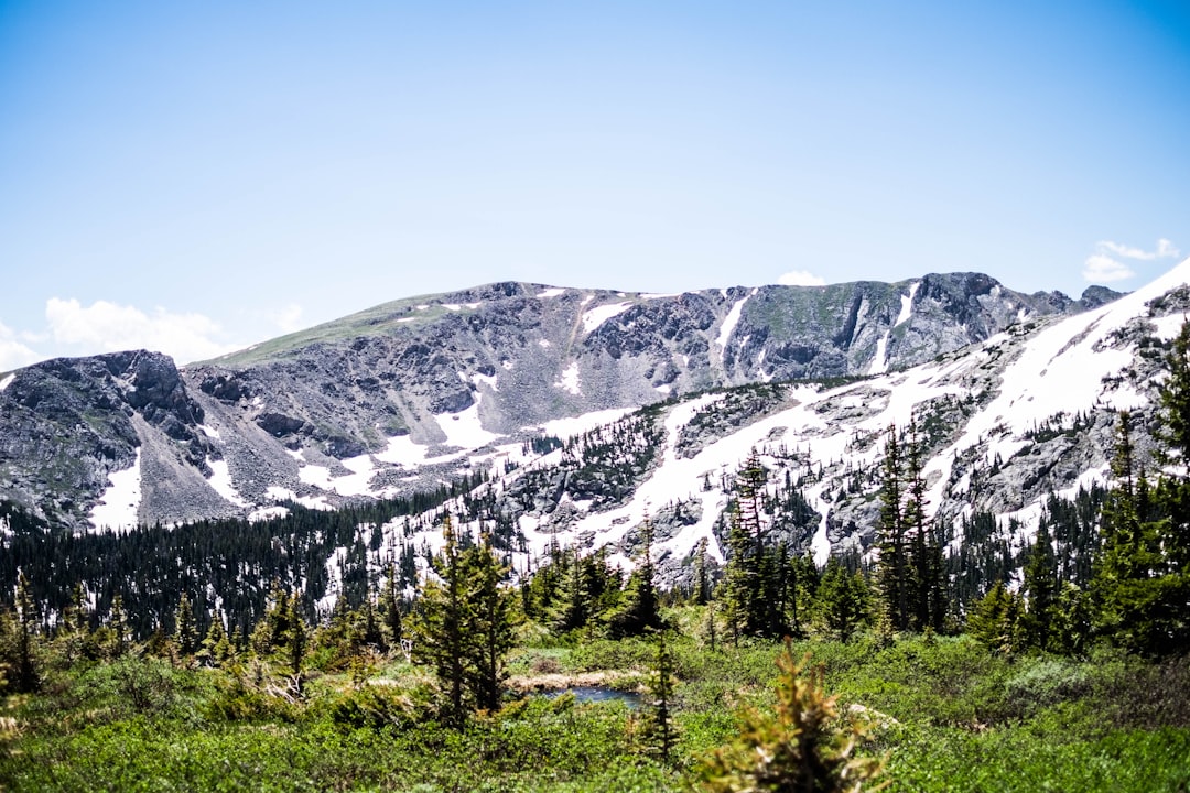 green trees near snow covered mountain during daytime