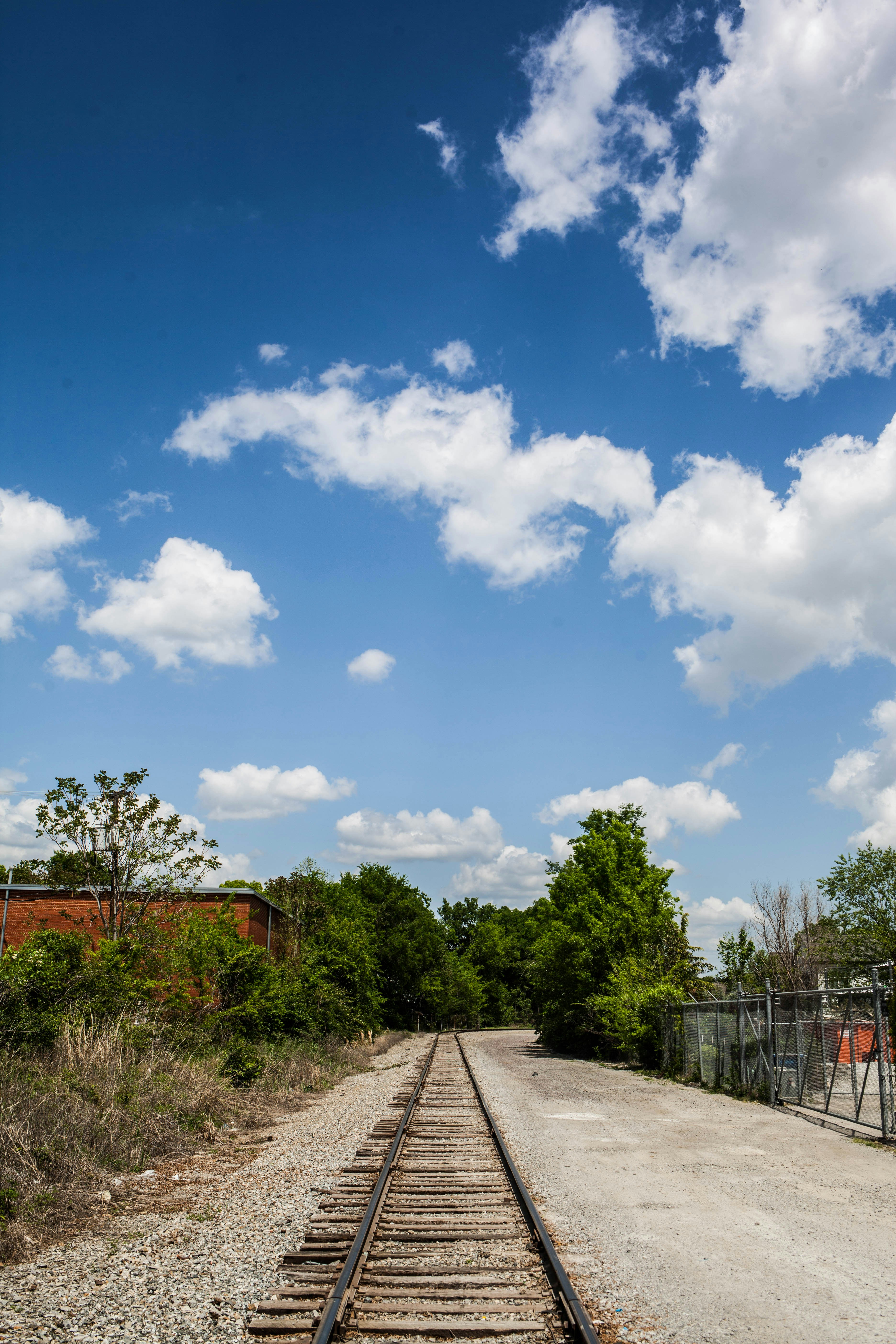 green trees under blue sky during daytime