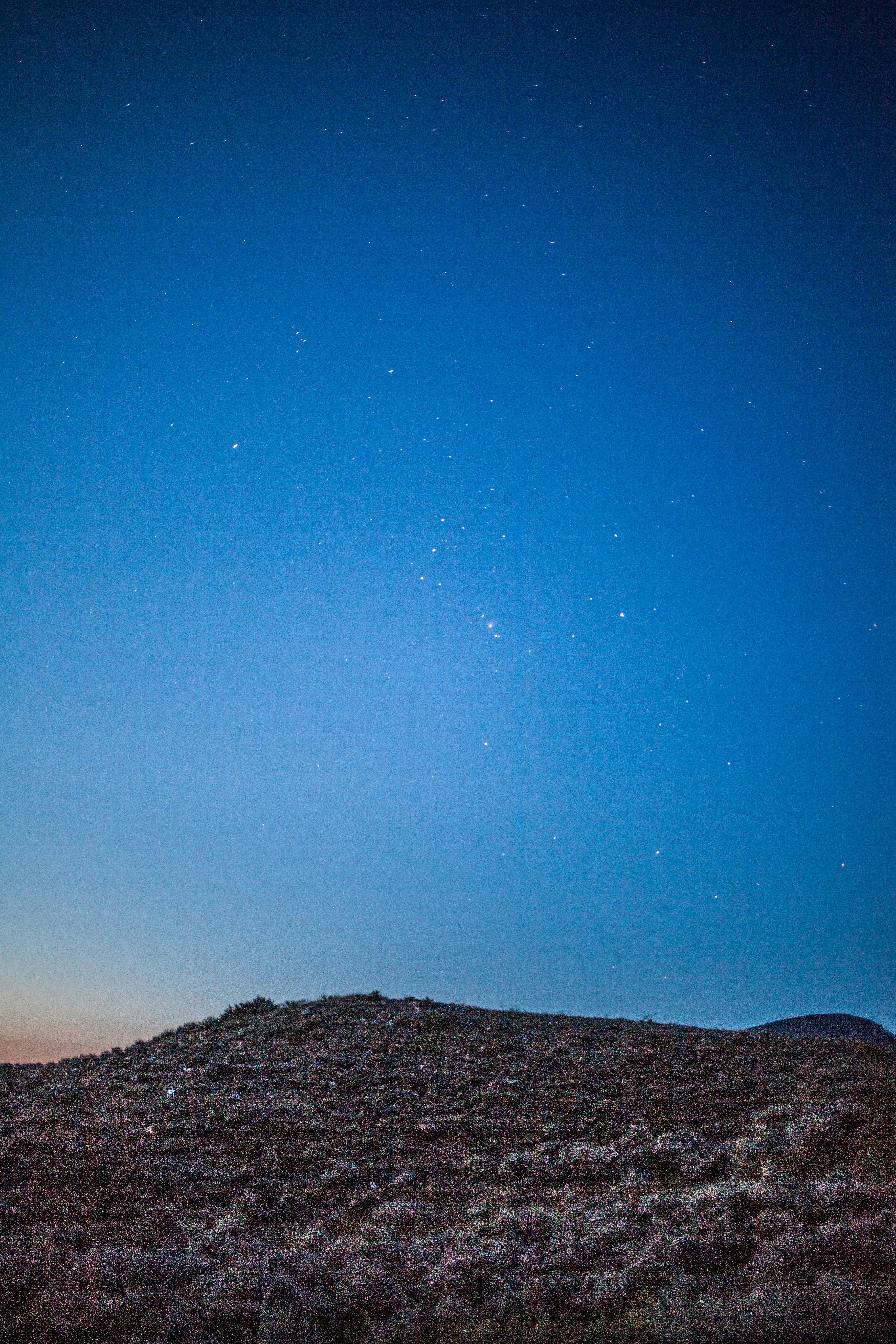 Photo by benjamin_deyoung