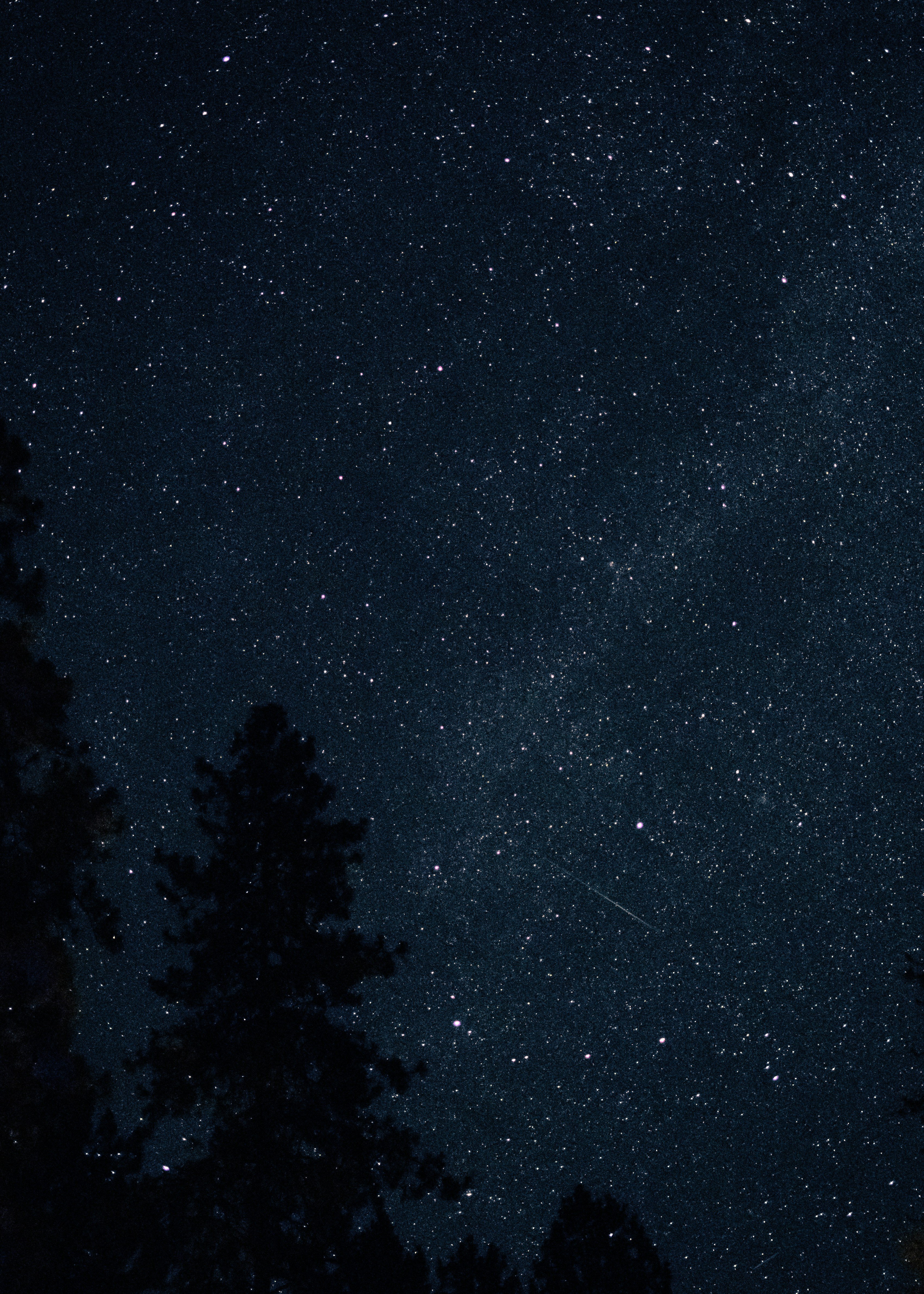 Photo by avillaalegria