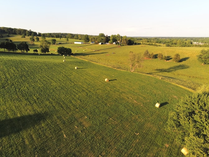 green grass field under blue sky during daytime