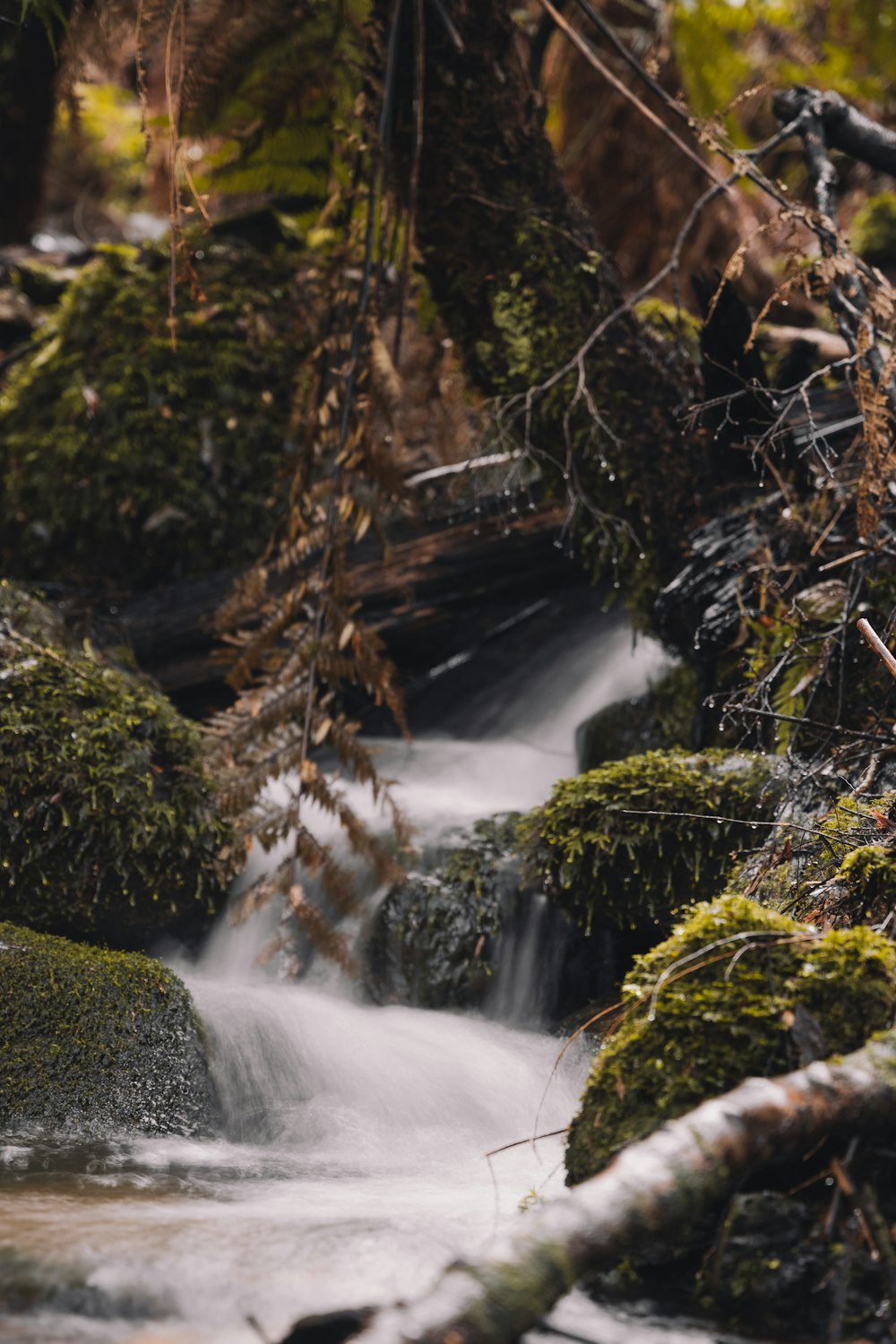 water falls in the forest