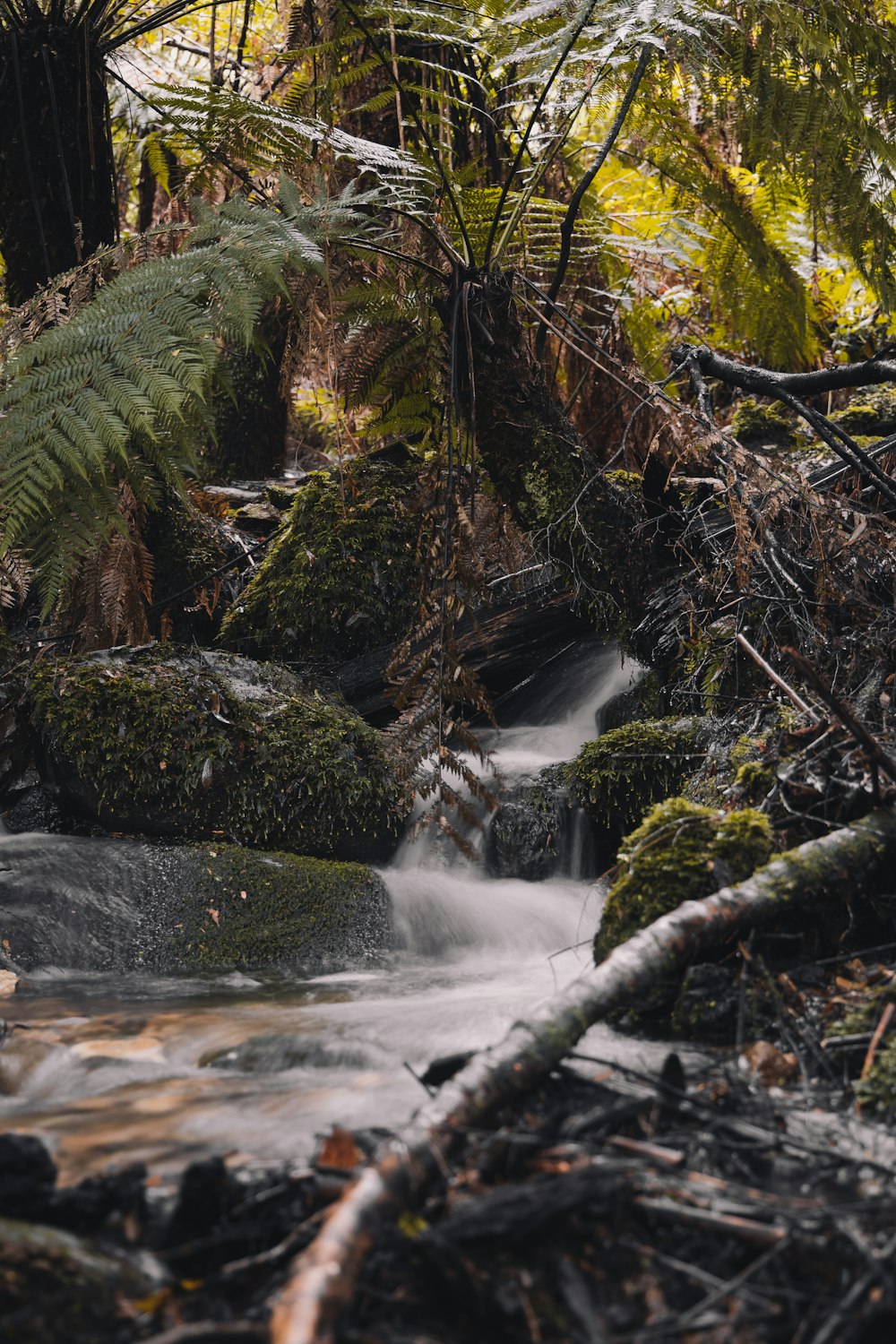 water falls in the middle of rocks