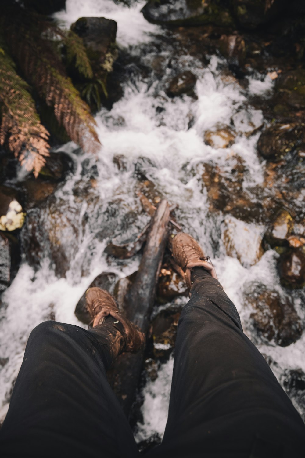 person in black pants and brown leather shoes standing on brown log in front of river