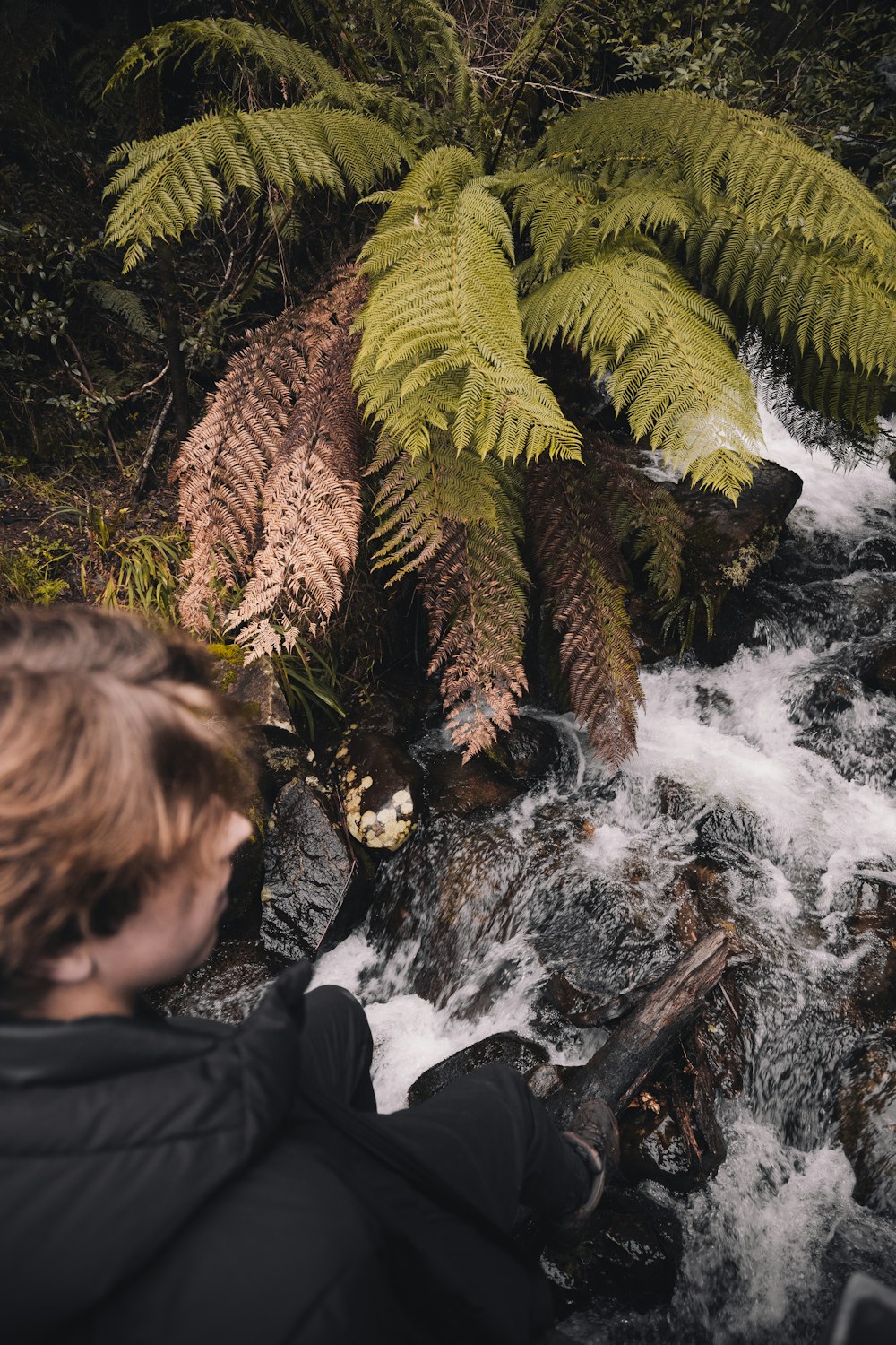 2 boys sitting on rock near water falls