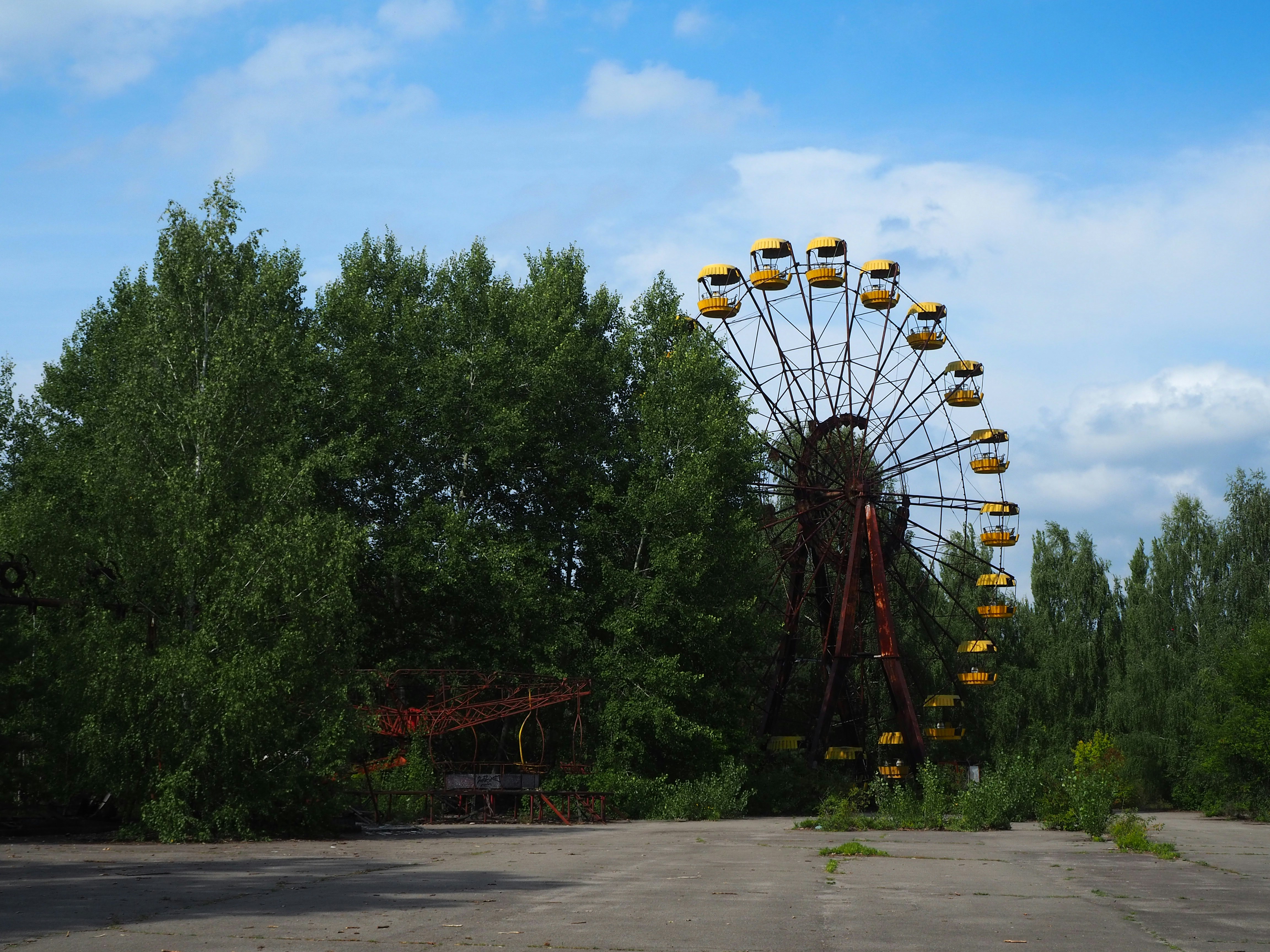 ferris wheel near green trees during daytime
