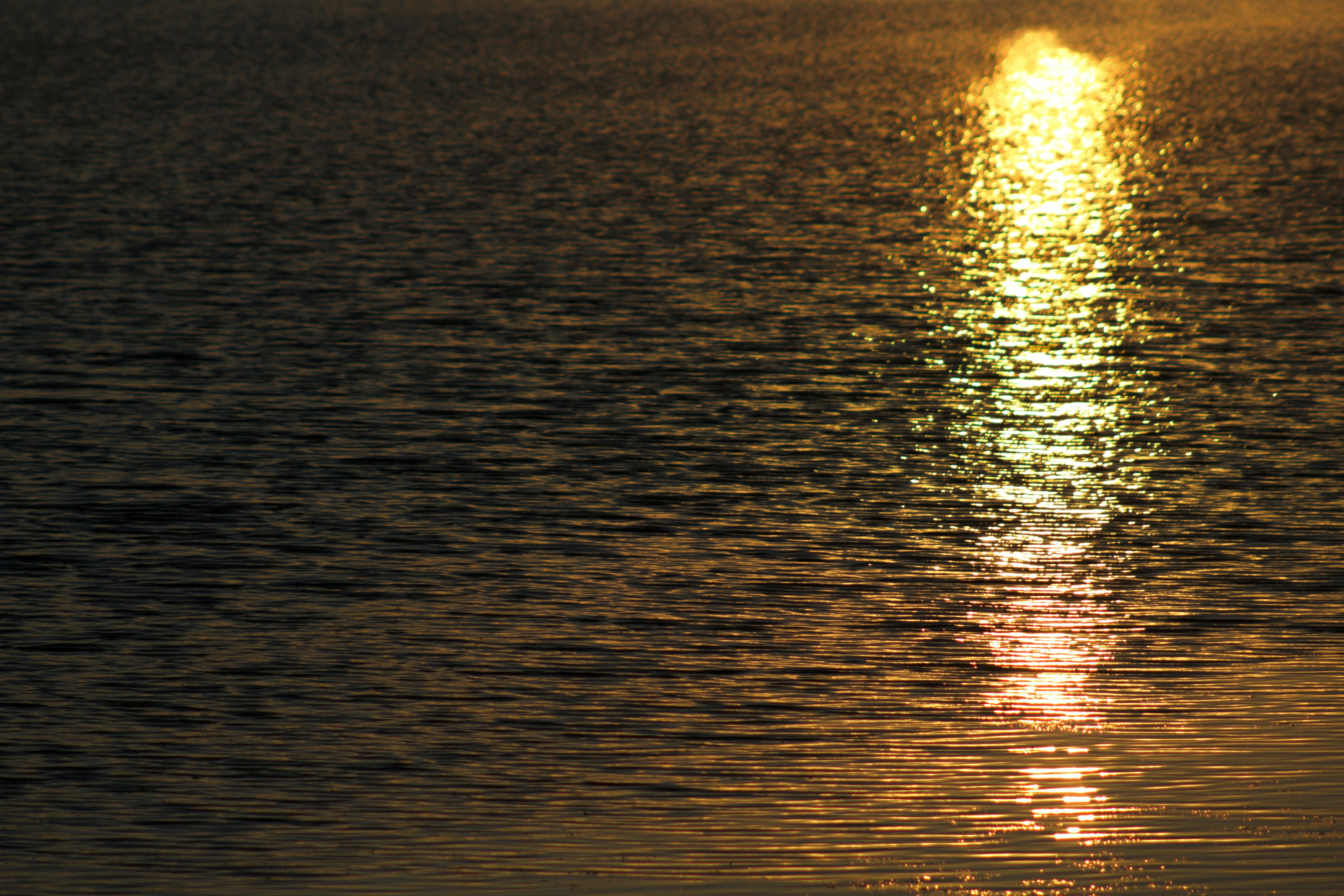 Photo by joshua_hoehne