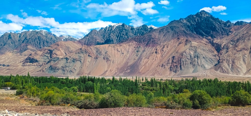 green trees near brown mountain under blue sky during daytime