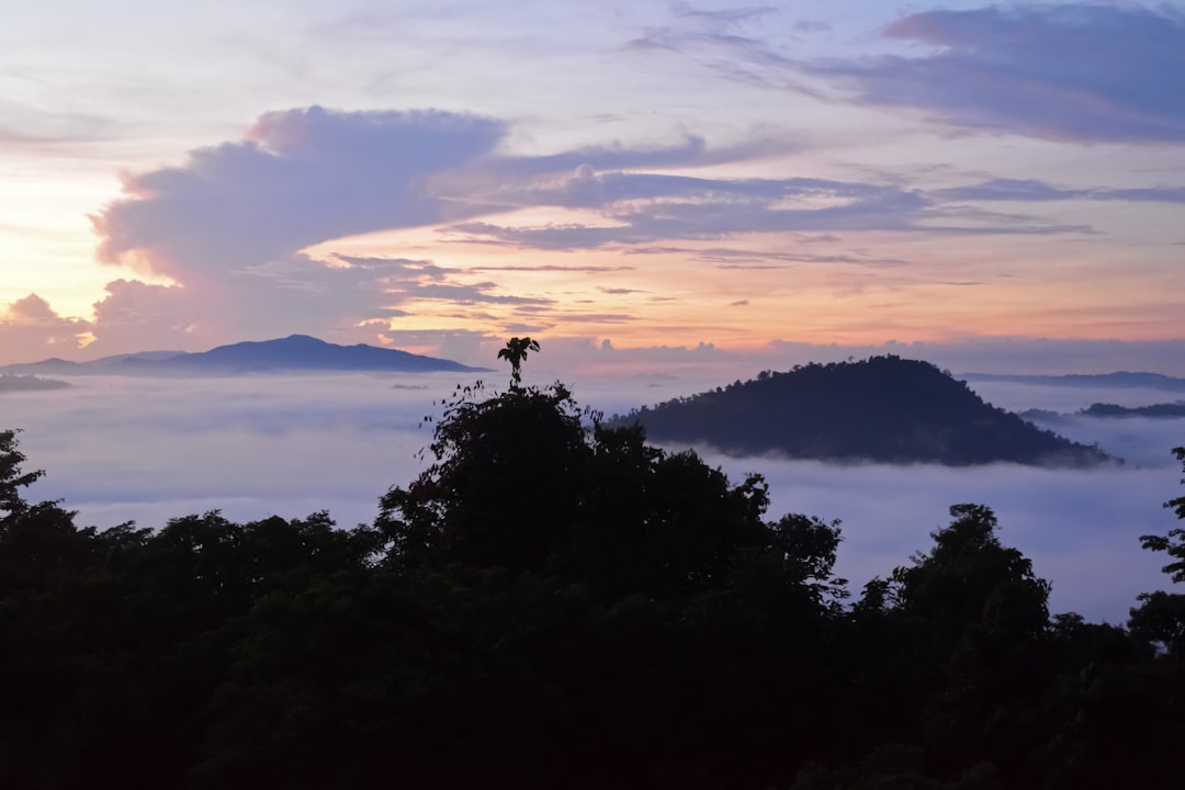 silhouette of trees and mountains during sunset