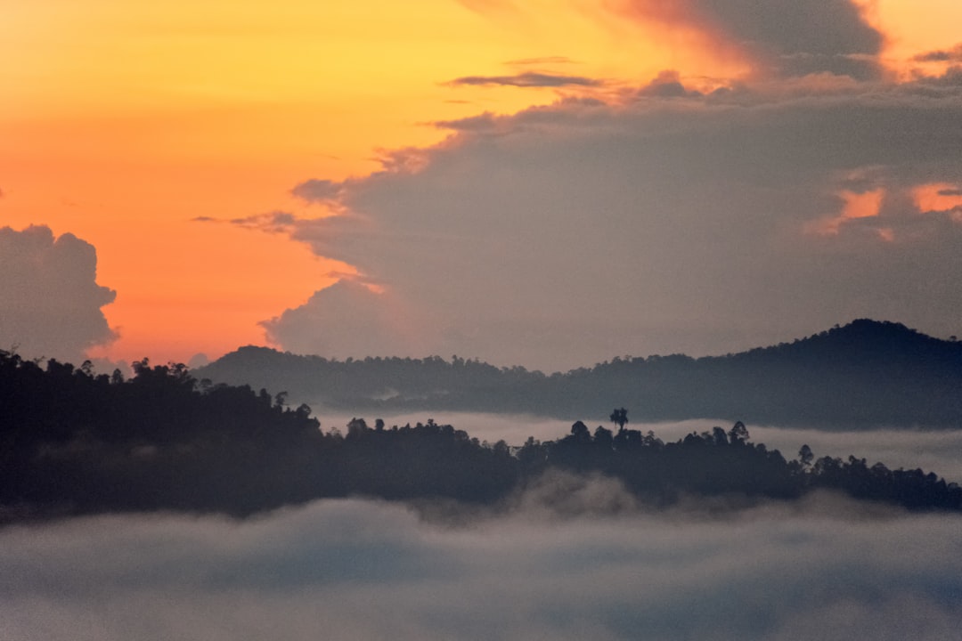 birds flying over the clouds during sunset