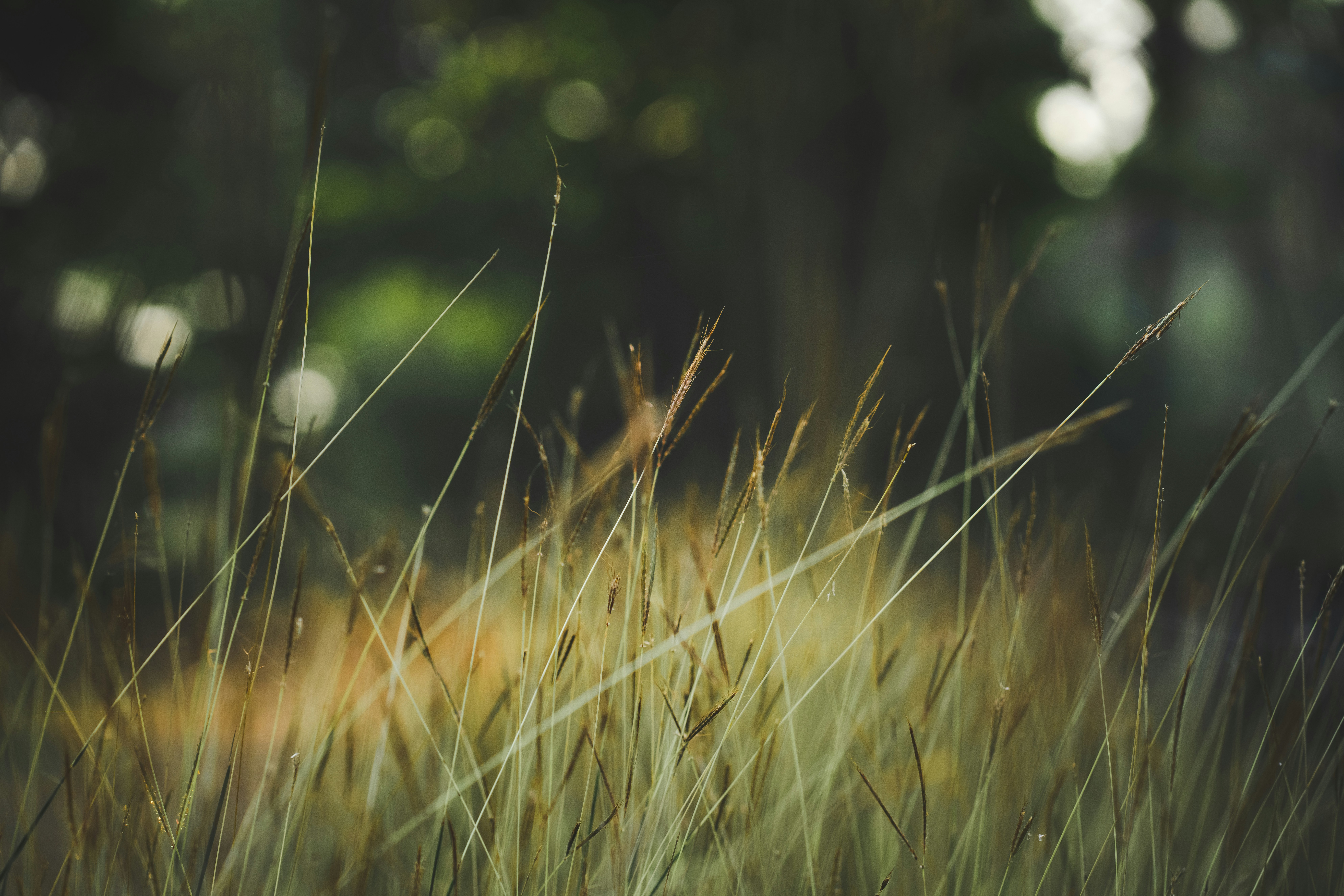 Photo by grweddingfilms