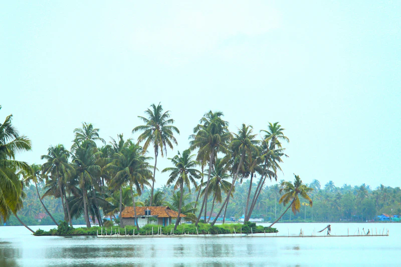 Best Vegetarian and Vegan Places in Kochi Worth Visiting