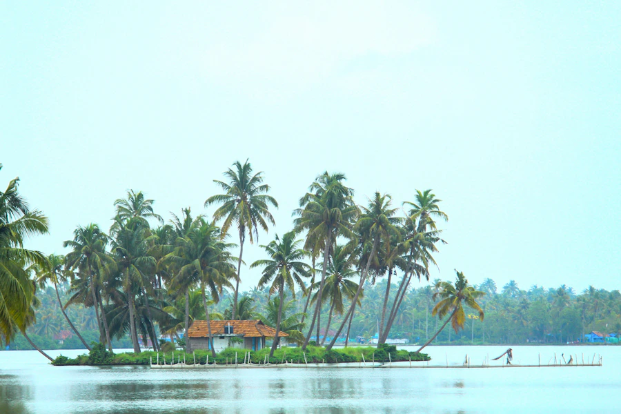 App Development Company in Kochi