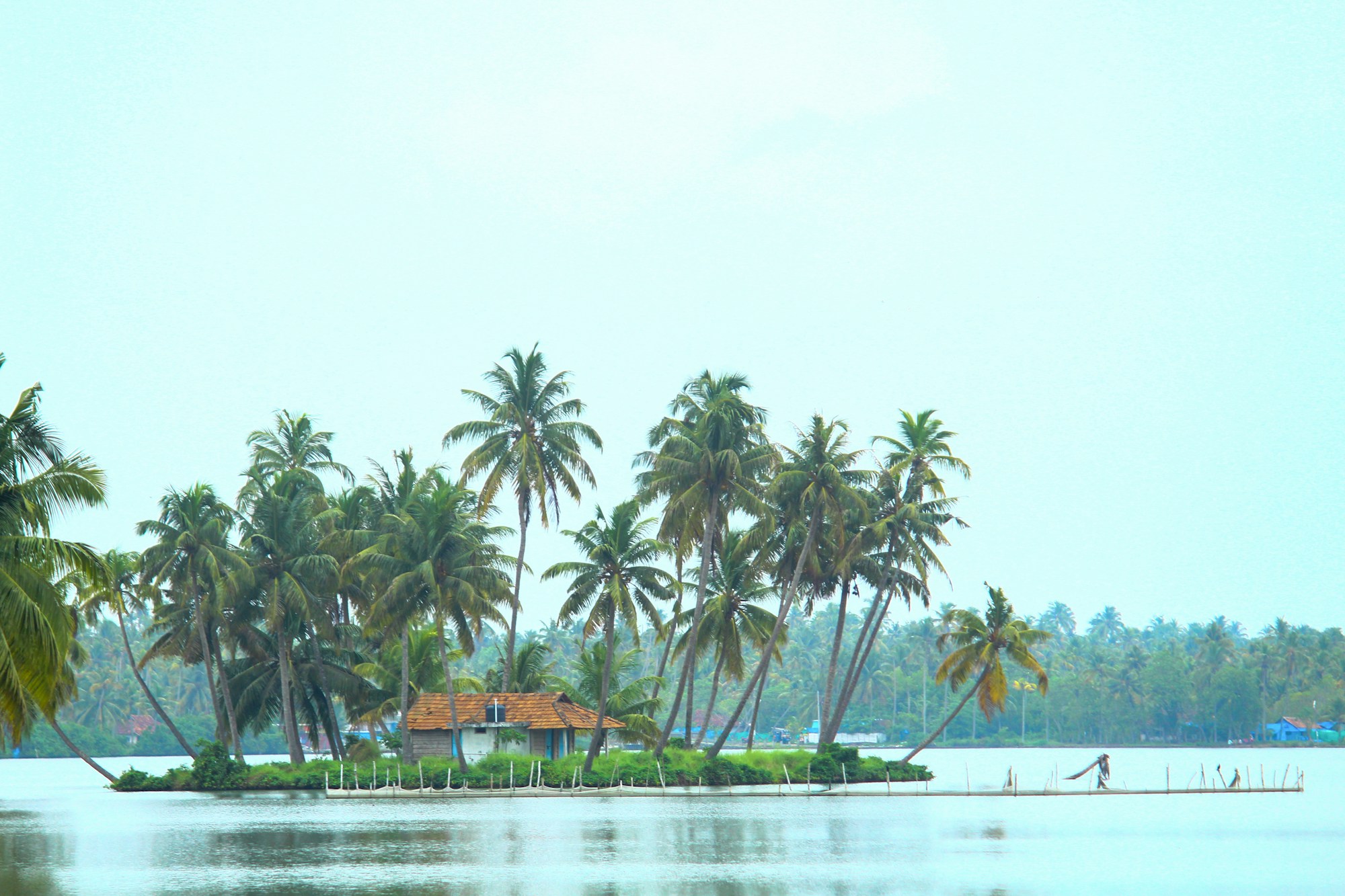 Exploring Kochi: A Comprehensive Travel Guide