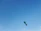 Close-up of a detailed, handcrafted Skylegacy kite against a clear blue sky.