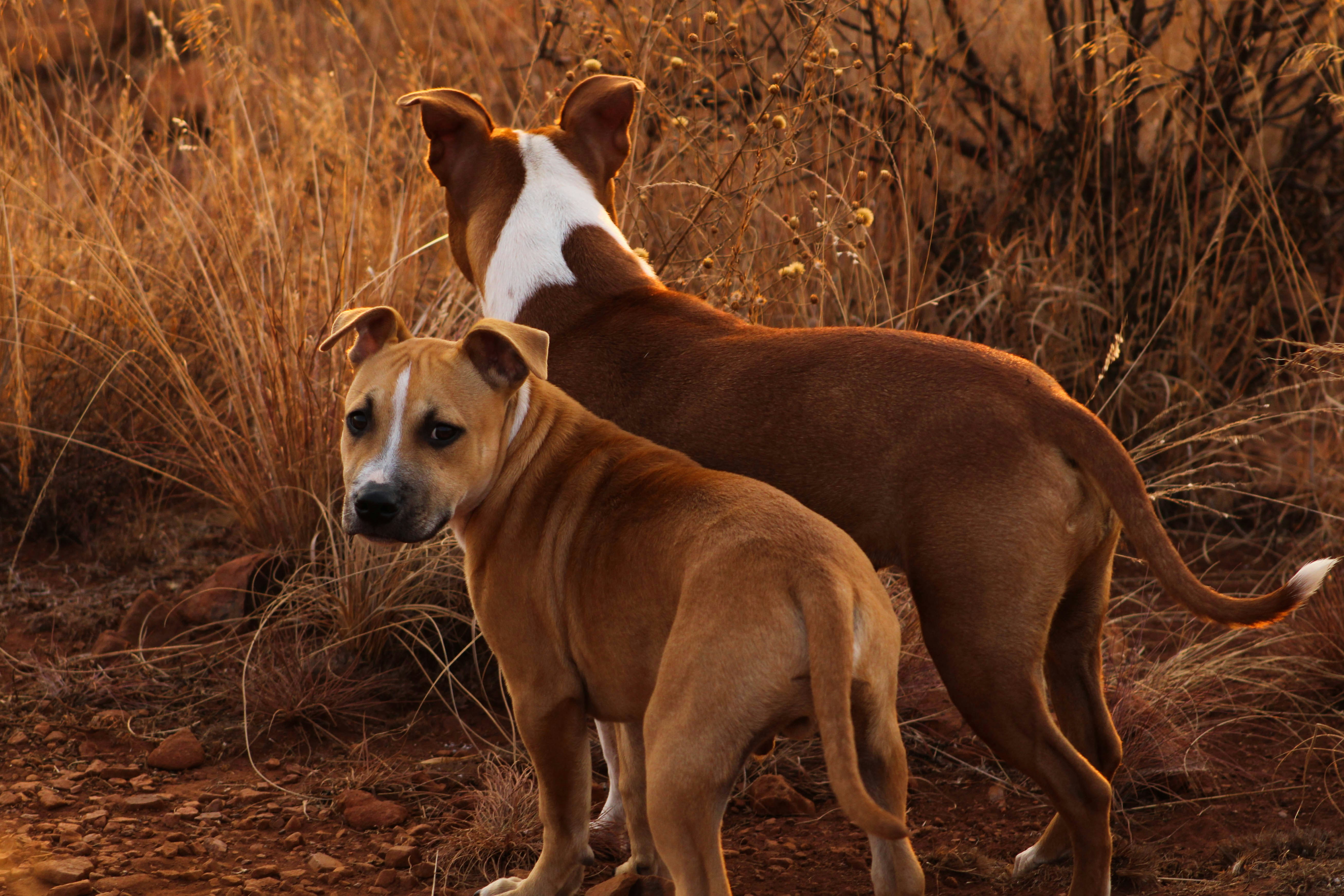 Photo by deborah_varrie