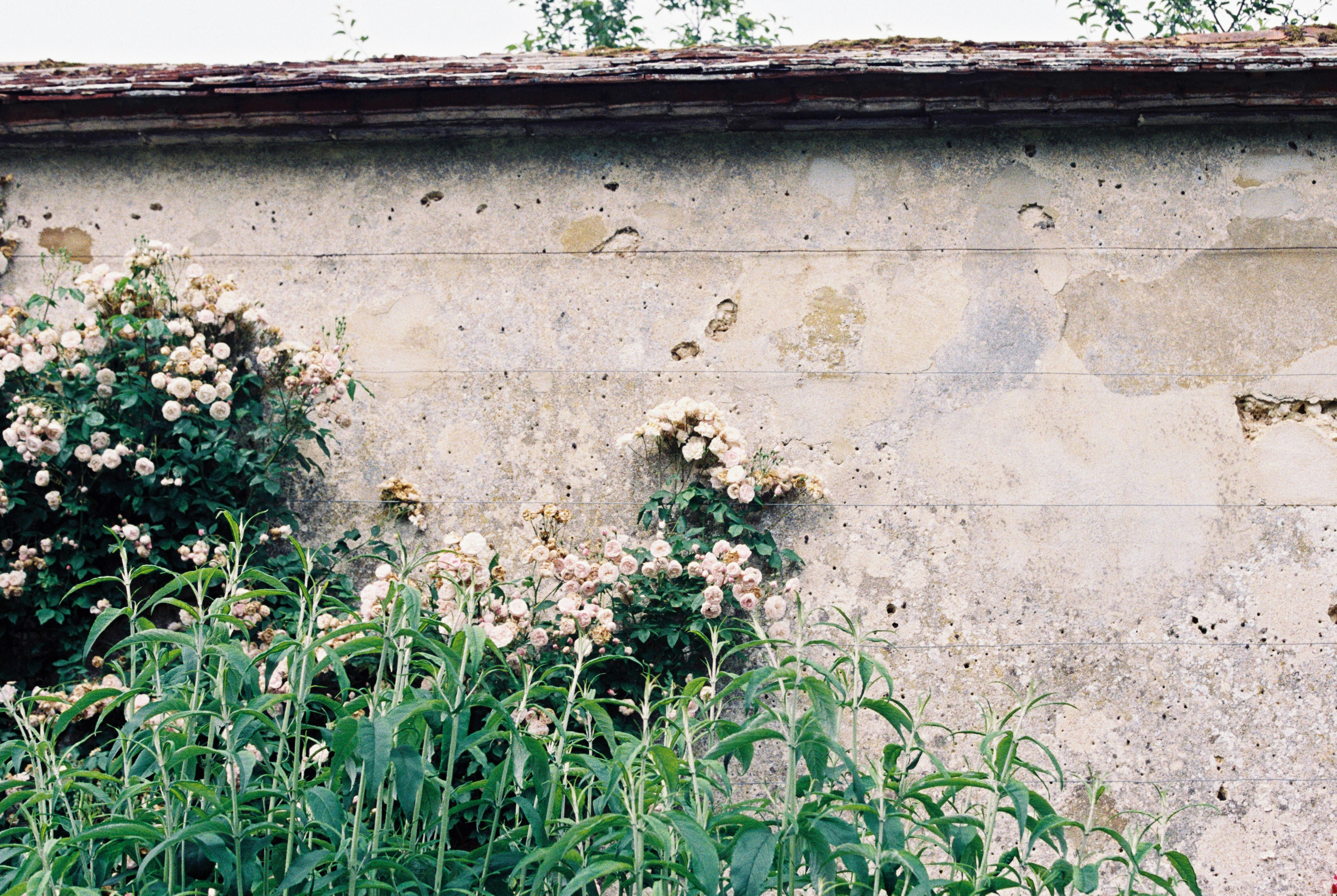 Photo by anniespratt