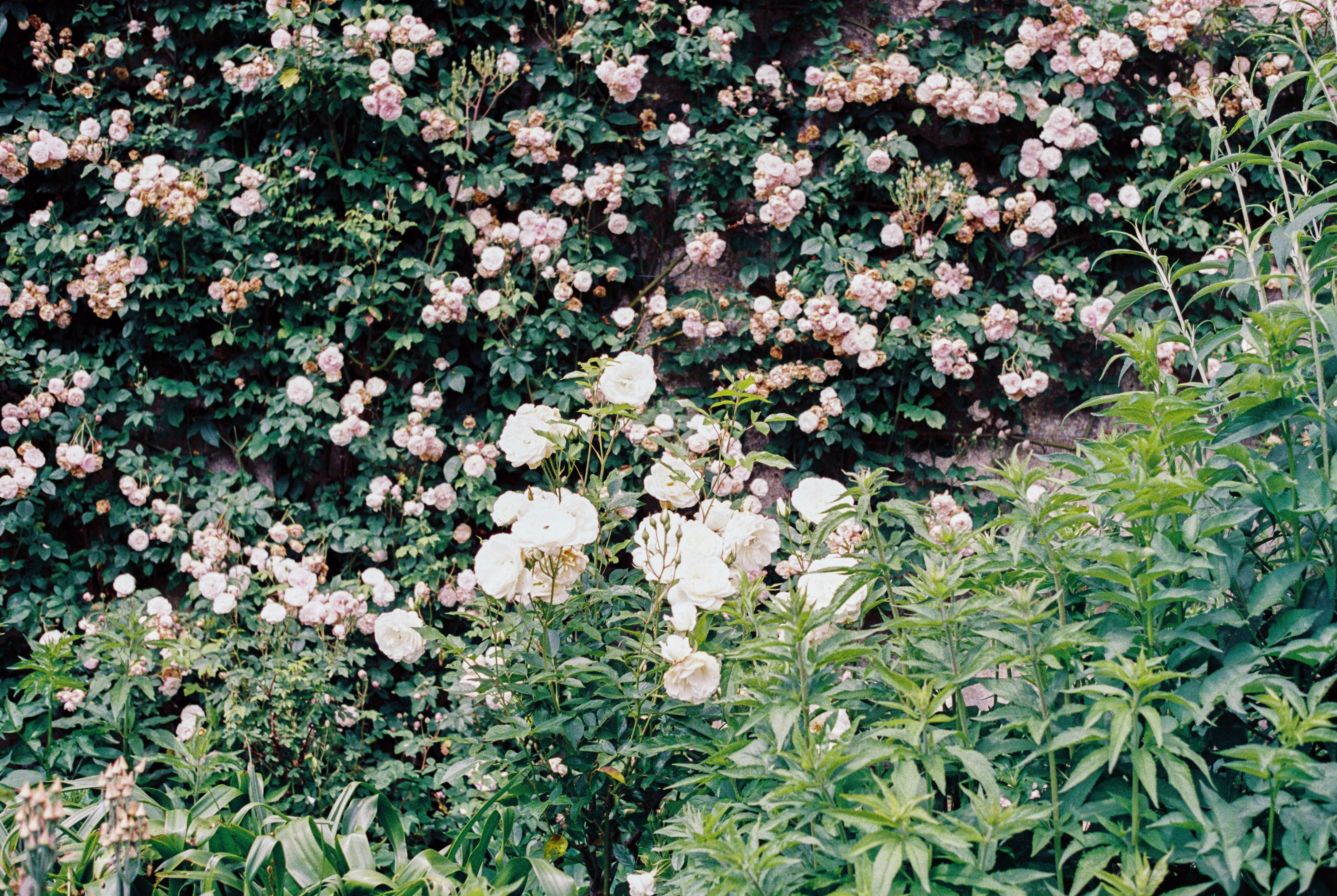 Photo by anniespratt