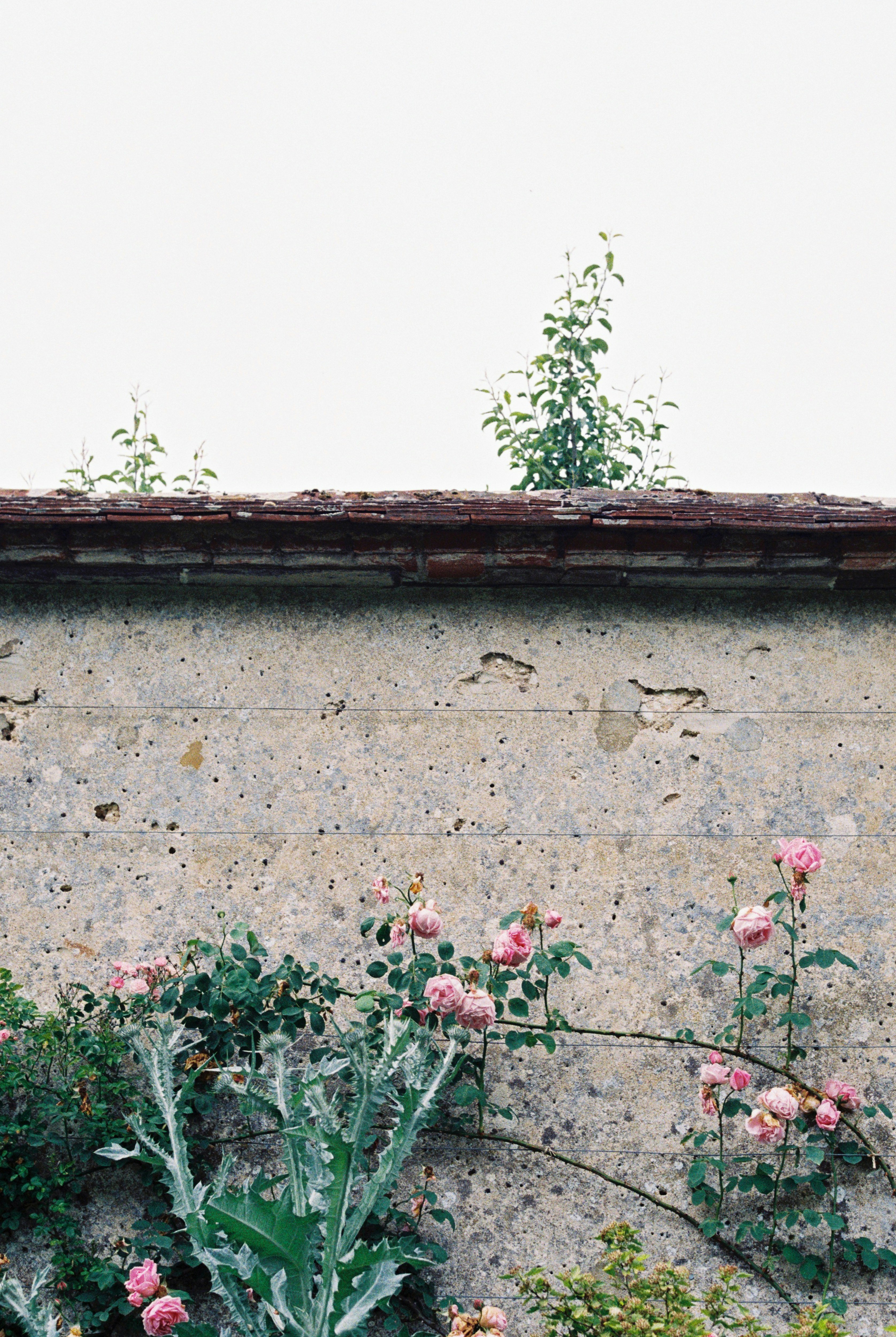 Photo by anniespratt