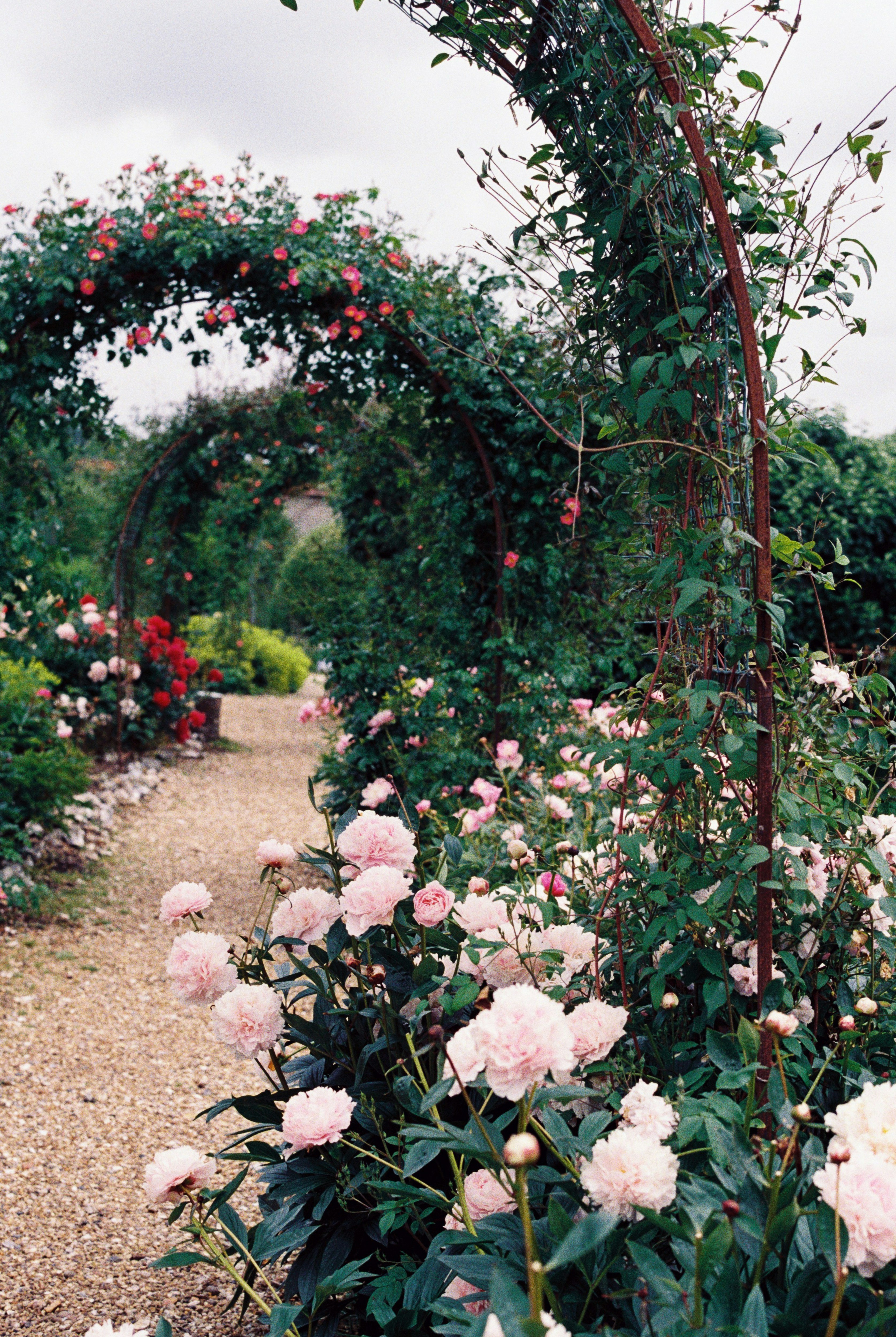 Photo by anniespratt