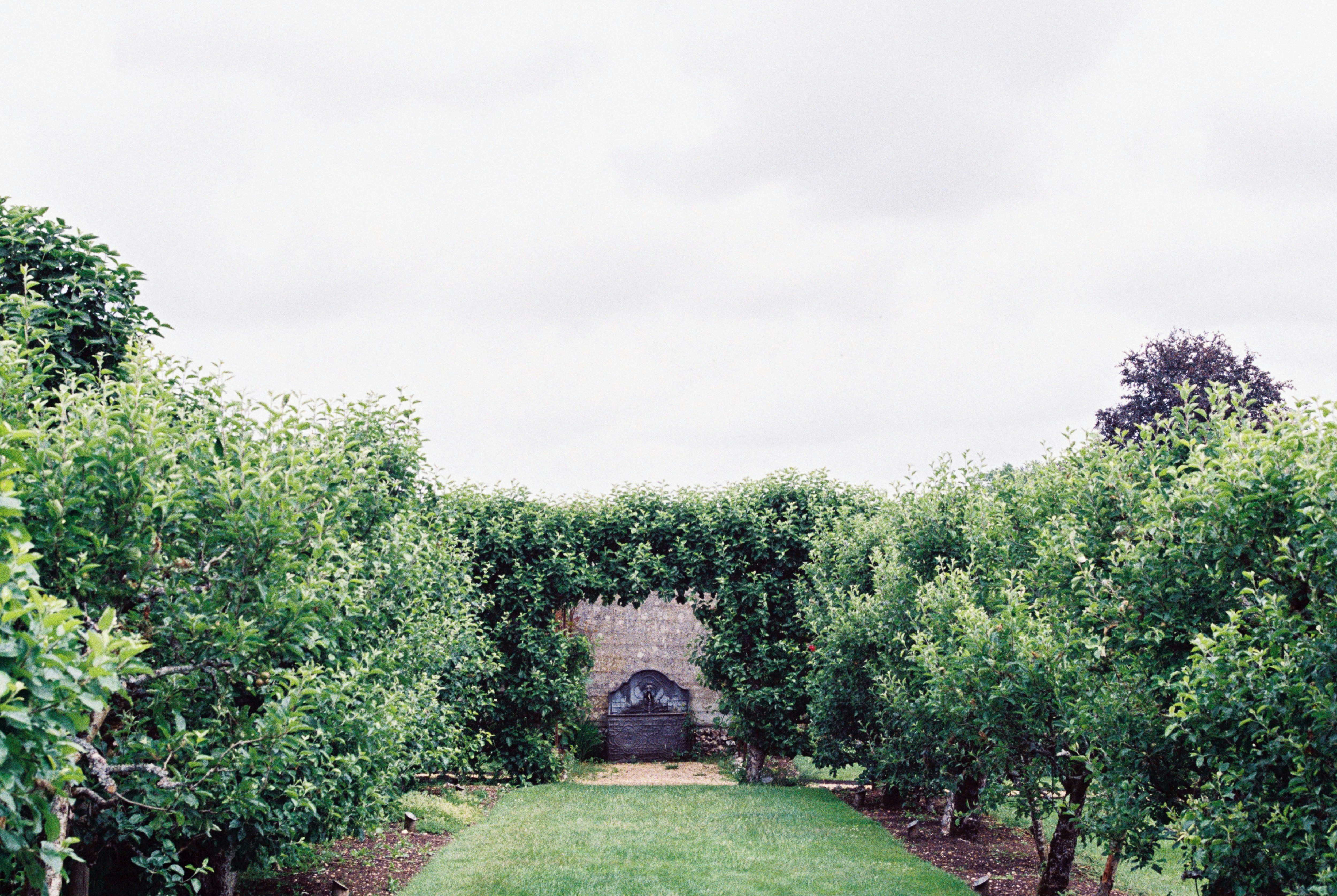 Photo by anniespratt