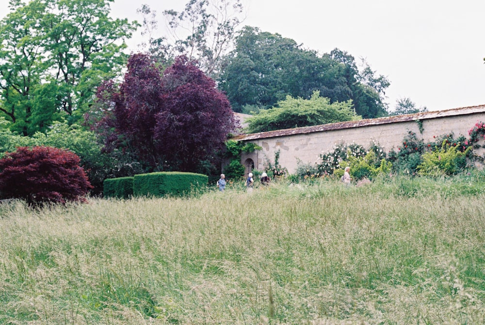 green grass field with trees and concrete building