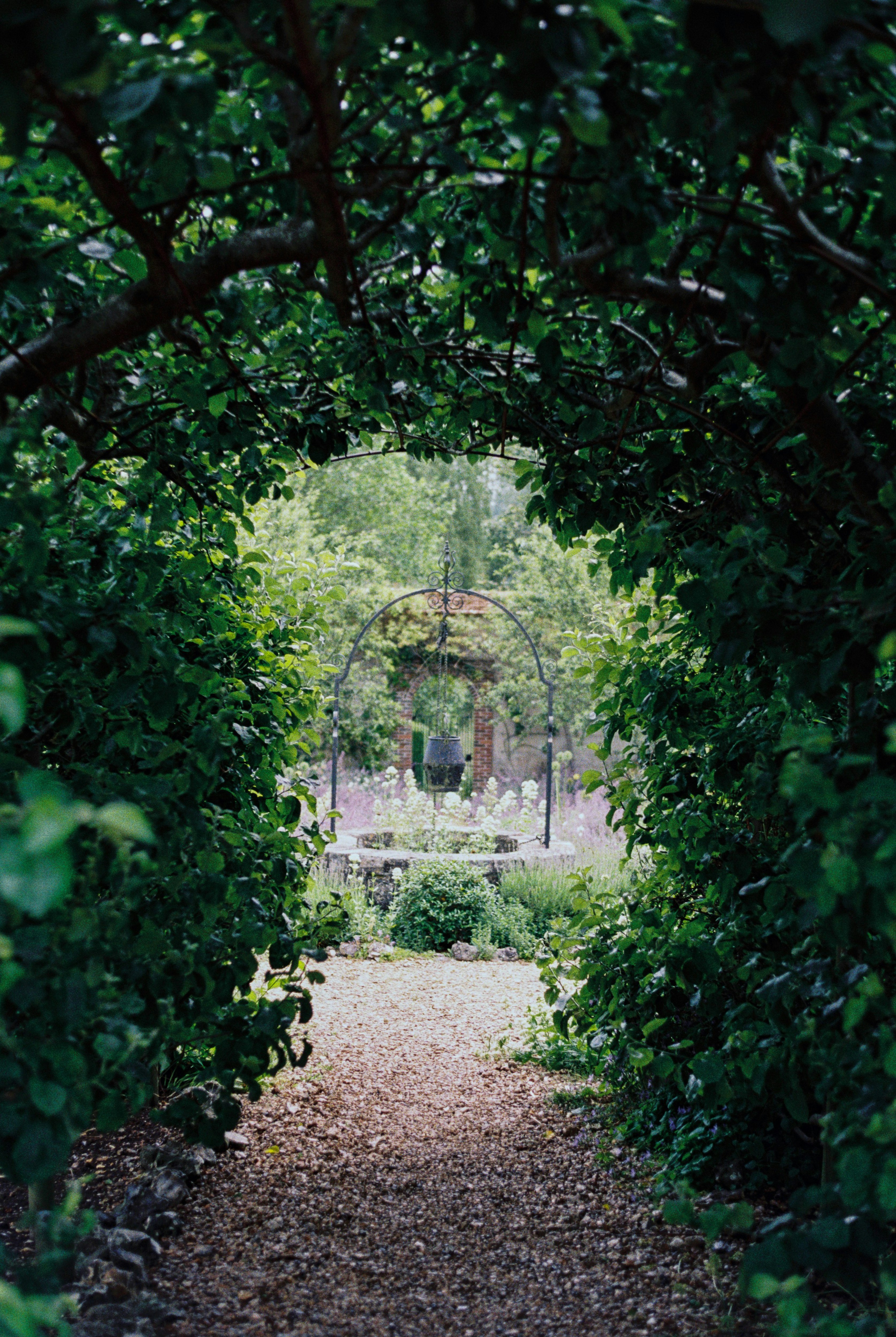 Photo by anniespratt