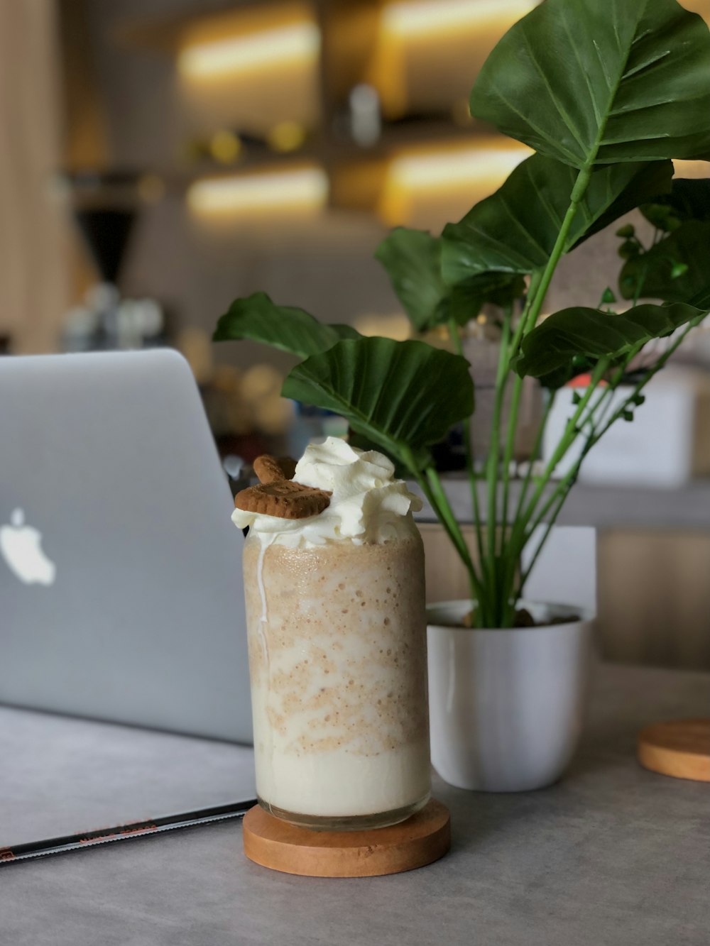 green plant in white ceramic pot