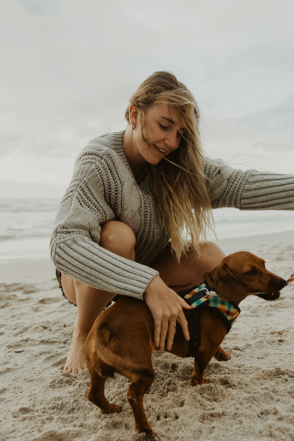 woman in gray knit sweater holding brown short coated dog