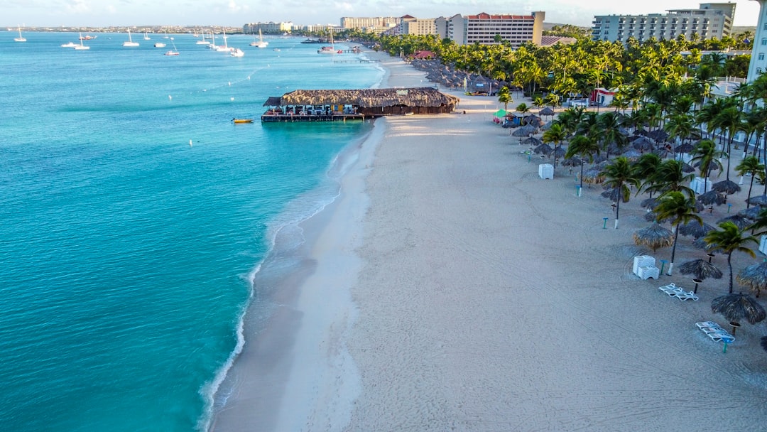 aerial view of beach during daytime