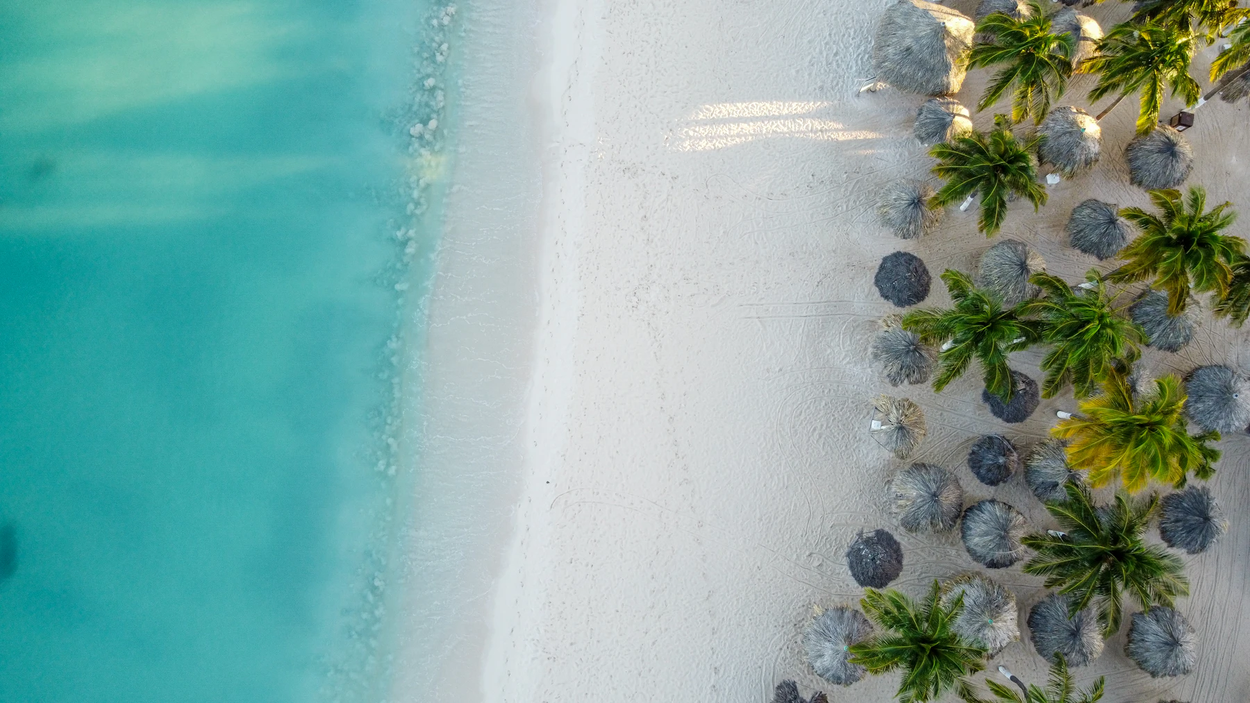 Aerial view of the Aruba coastline