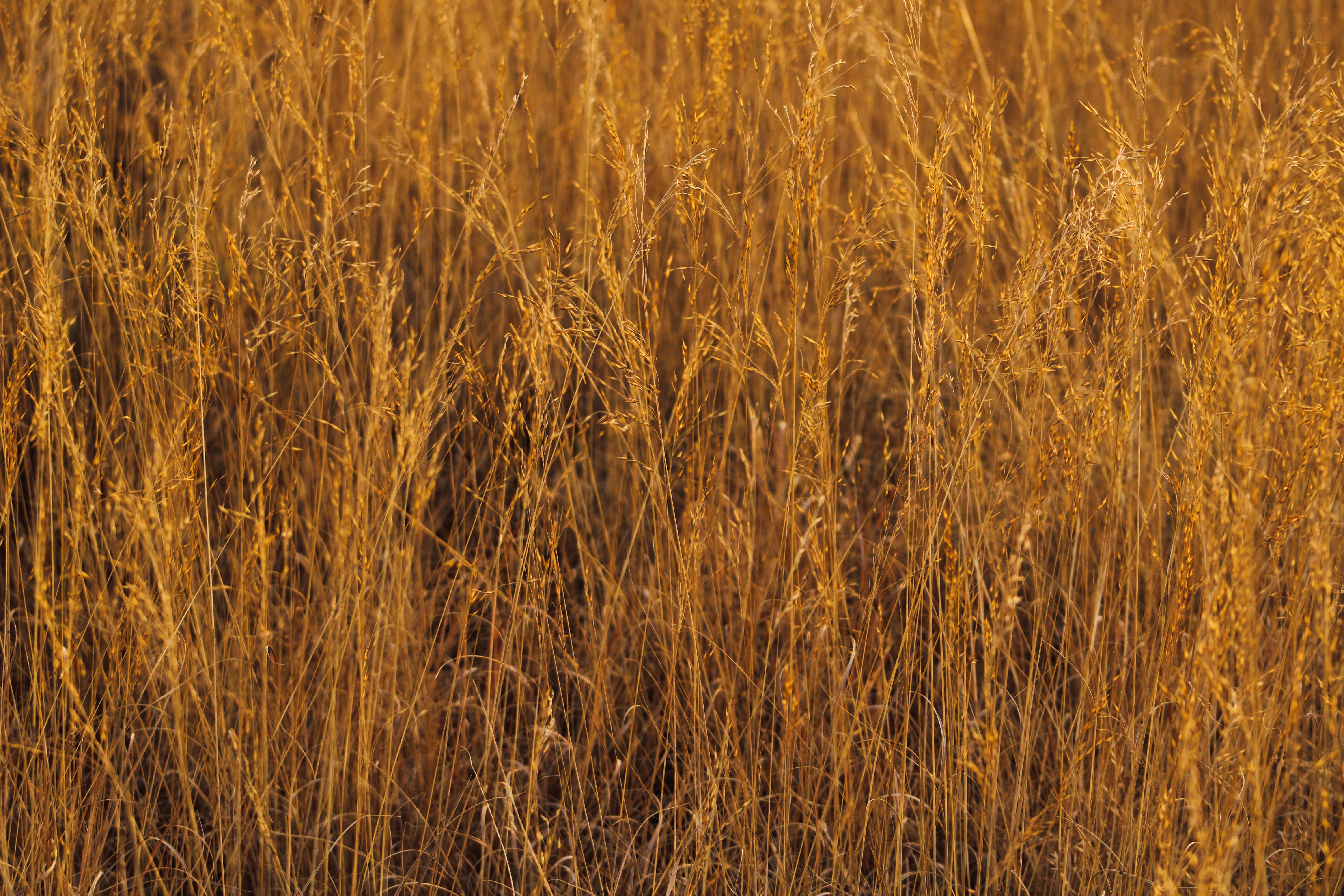 Photo by deborah_varrie