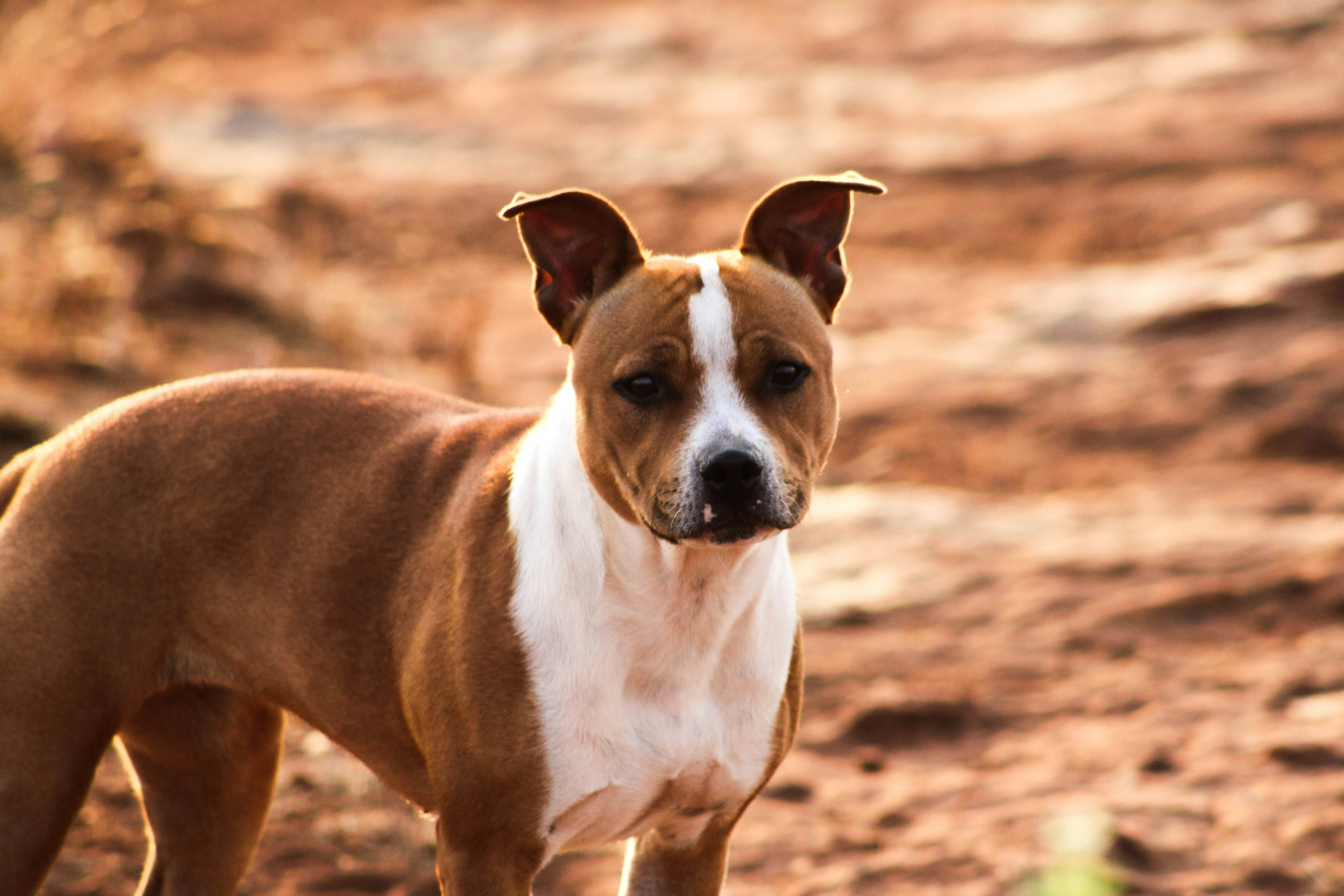 Photo by deborah_varrie