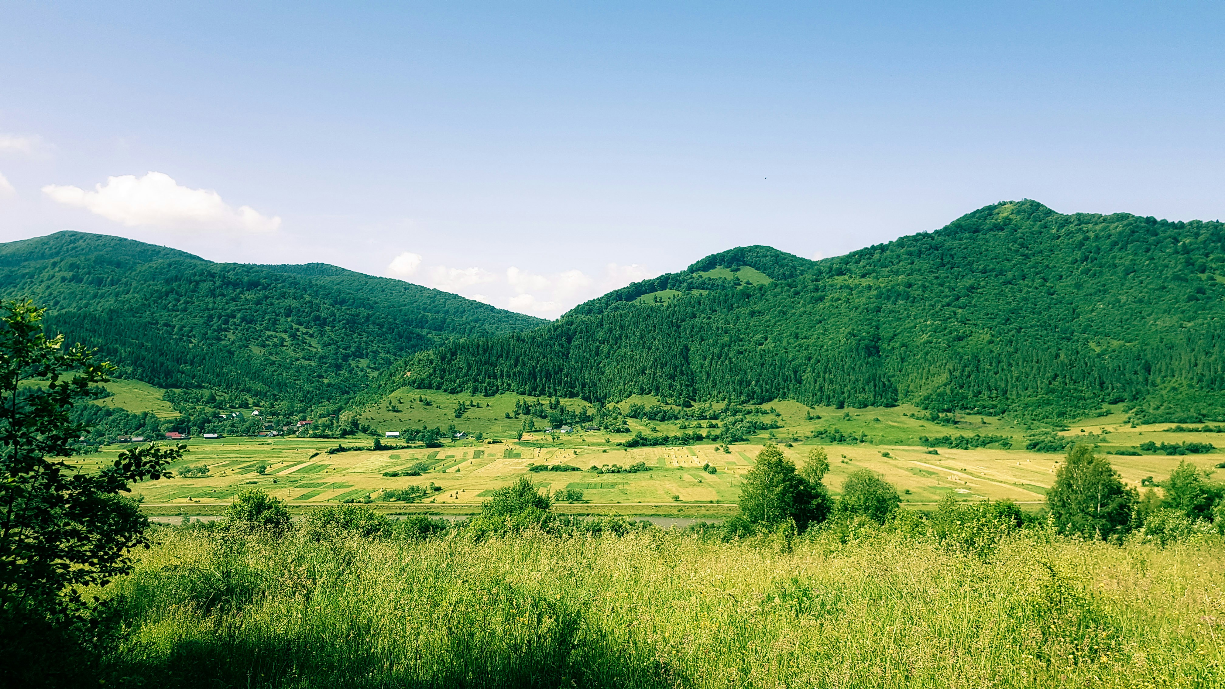 Photo by victoriastoliarenko