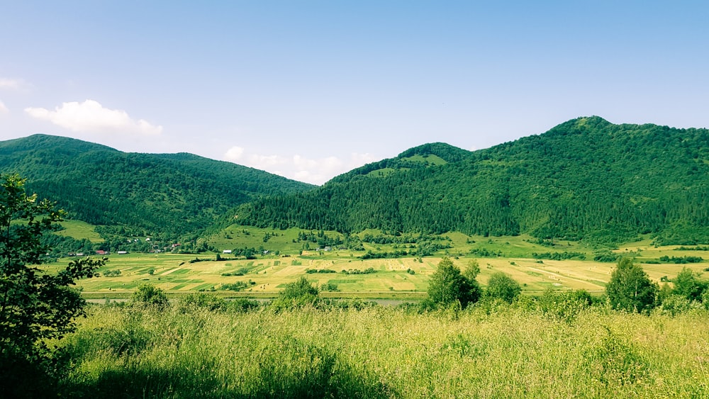 green grass field near green mountains under blue sky during daytime