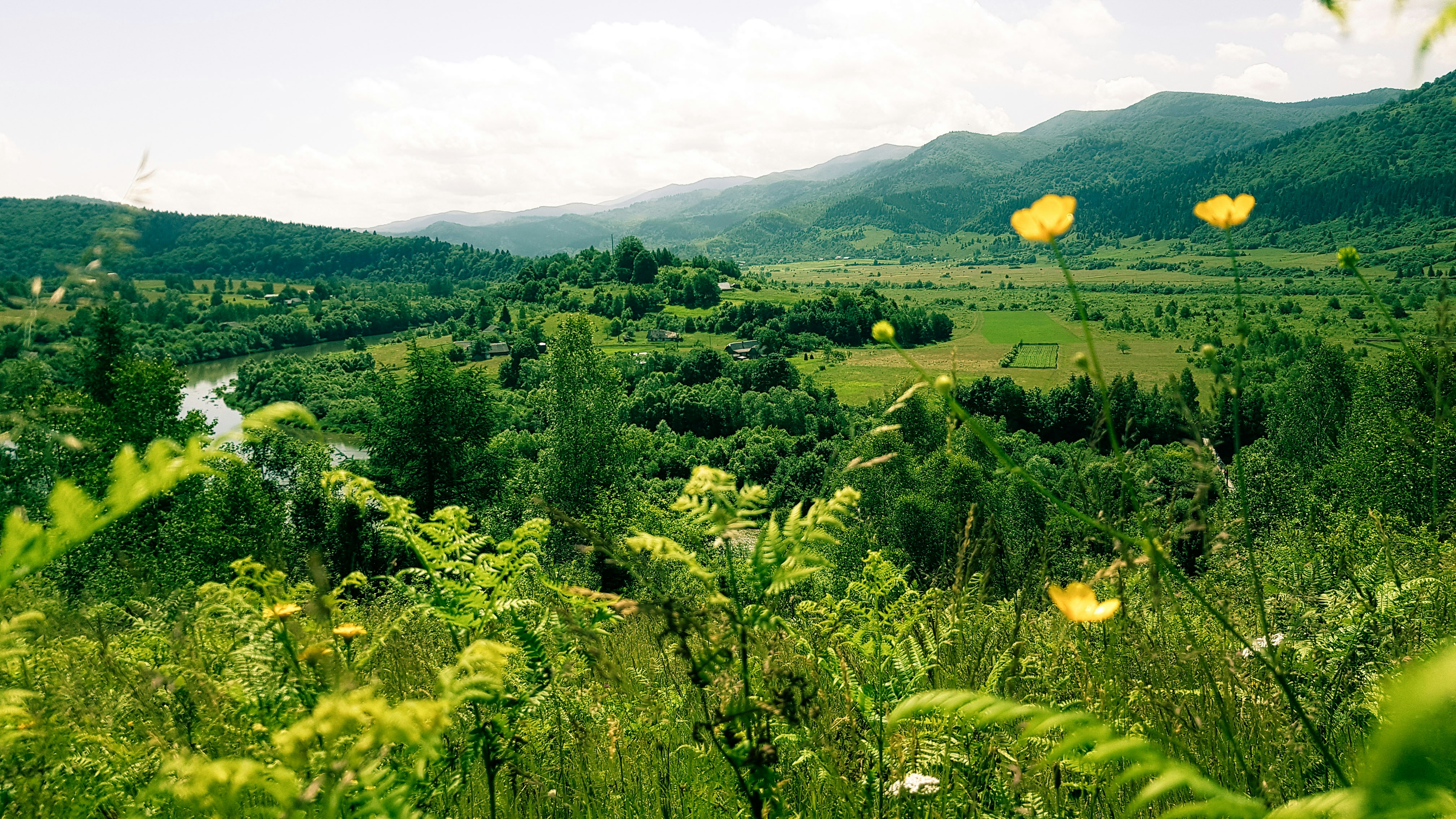 Photo by victoriastoliarenko