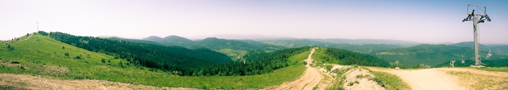 green trees on mountain under white sky during daytime