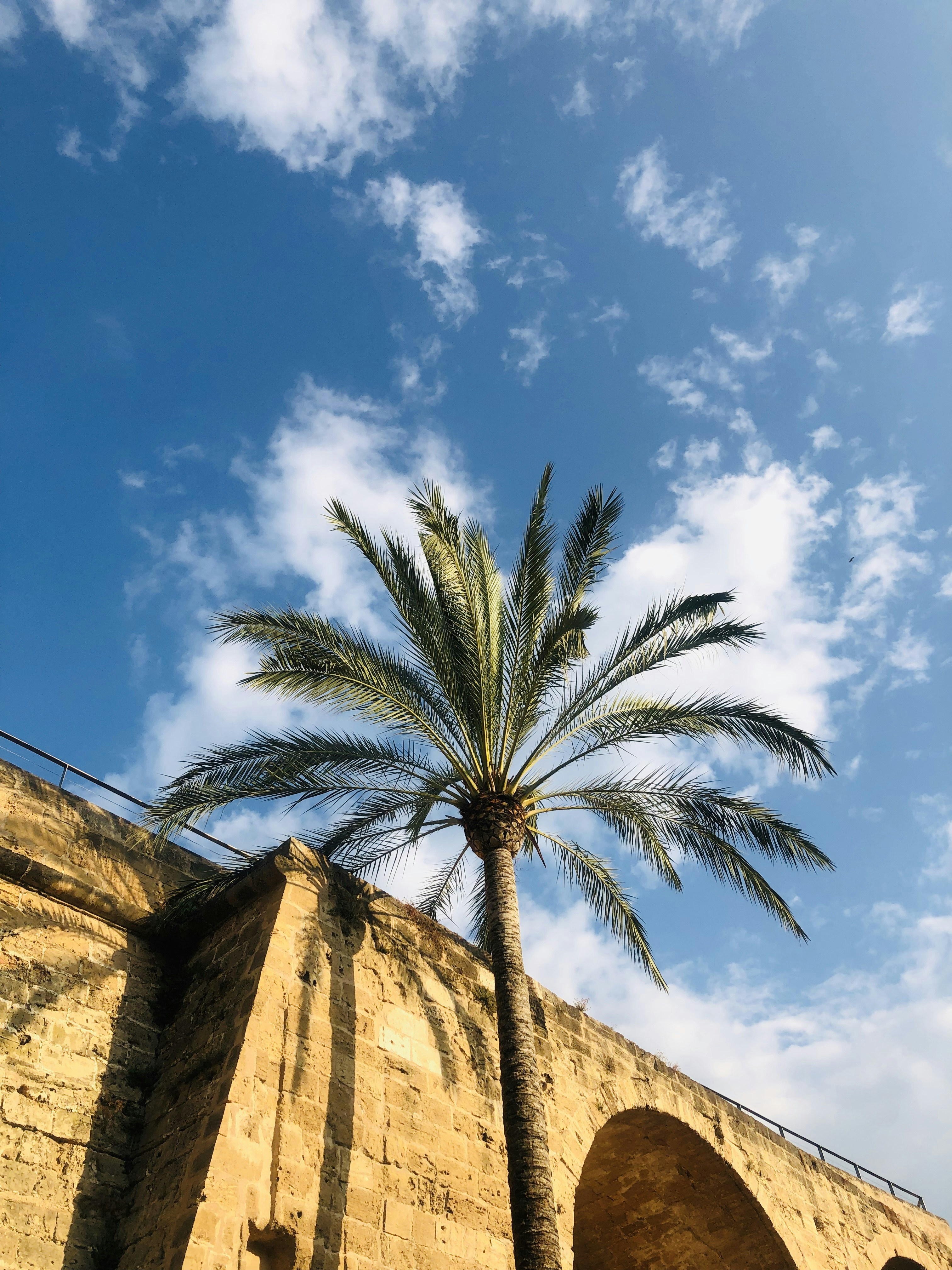 Photo by artx_galactica