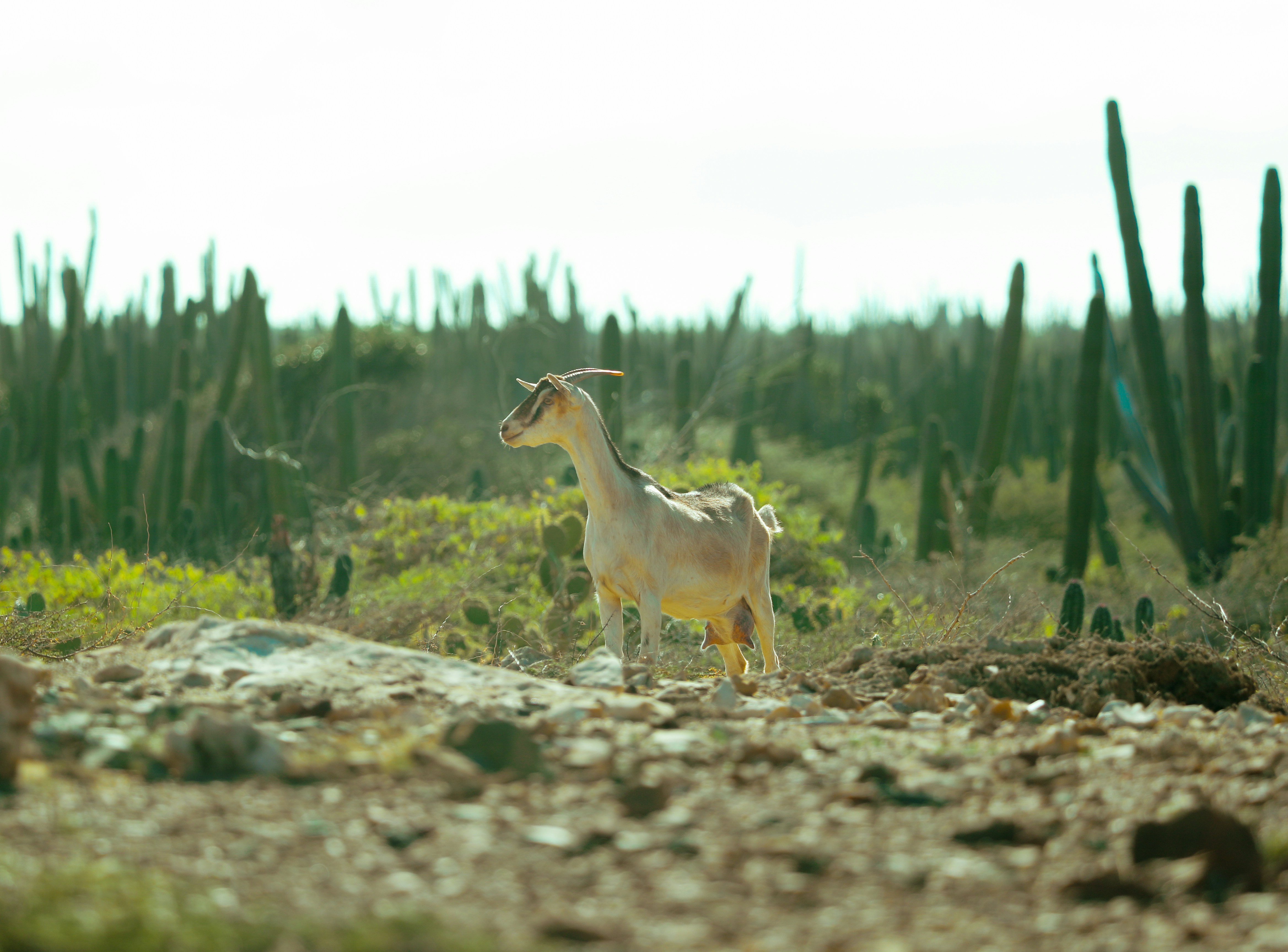 Топ-10 самых красивых городов Испании