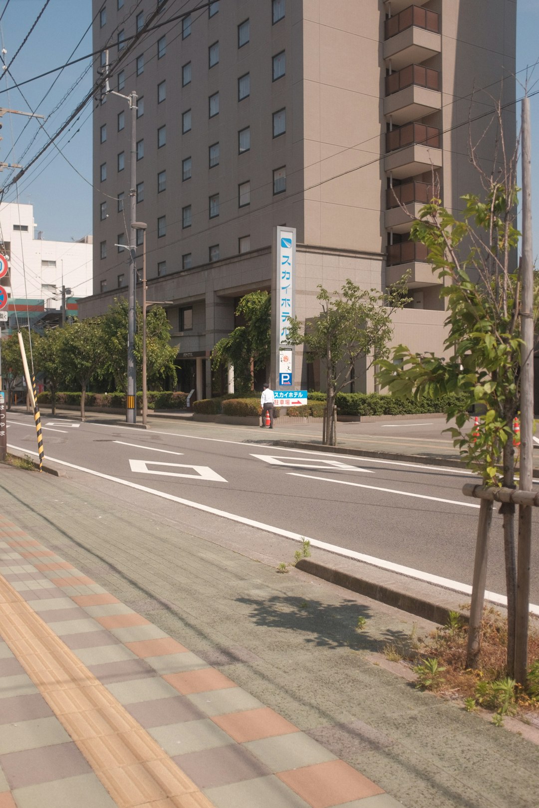 white and blue bus on road near green trees and building during daytime