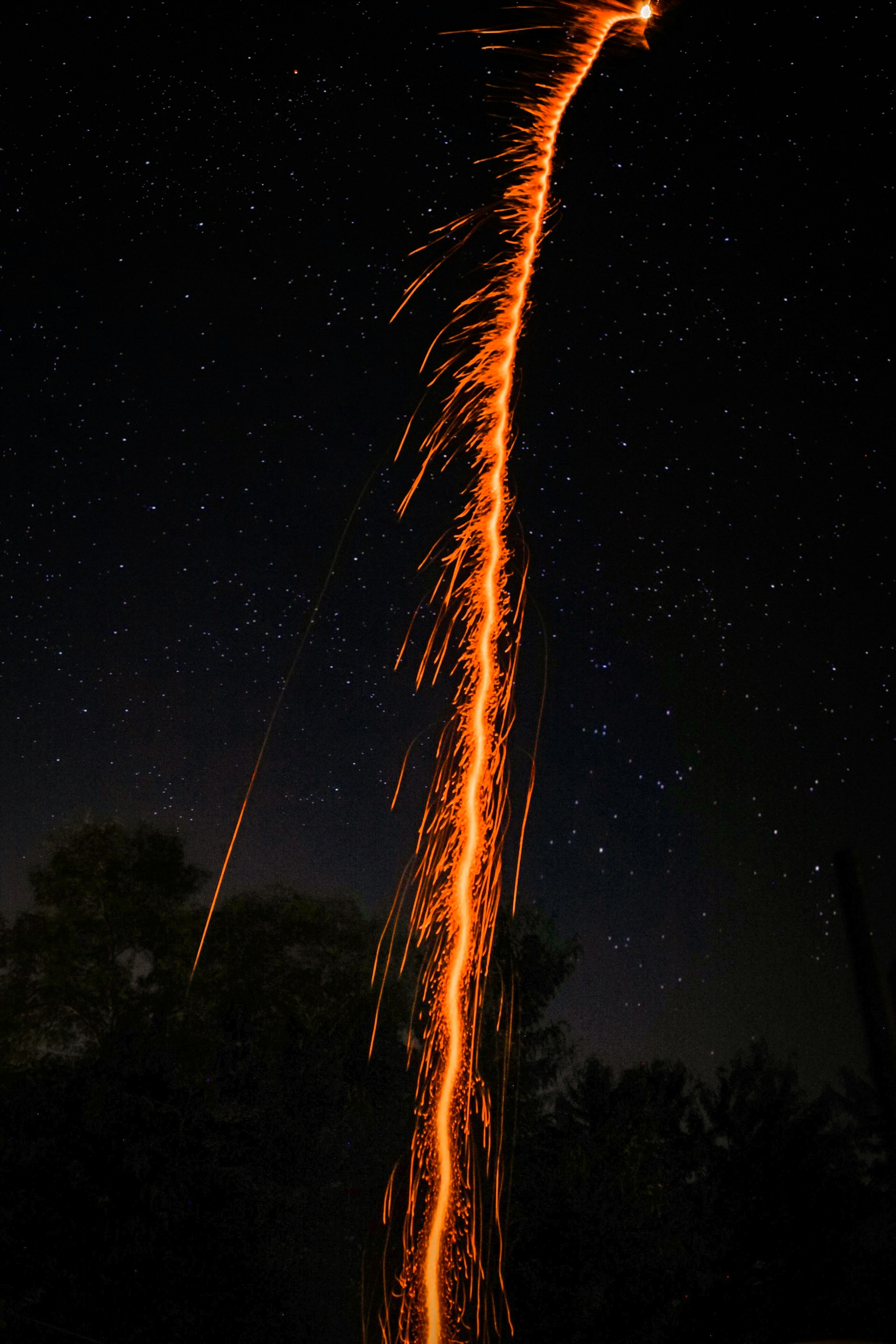 brown and black tree under blue sky during night time